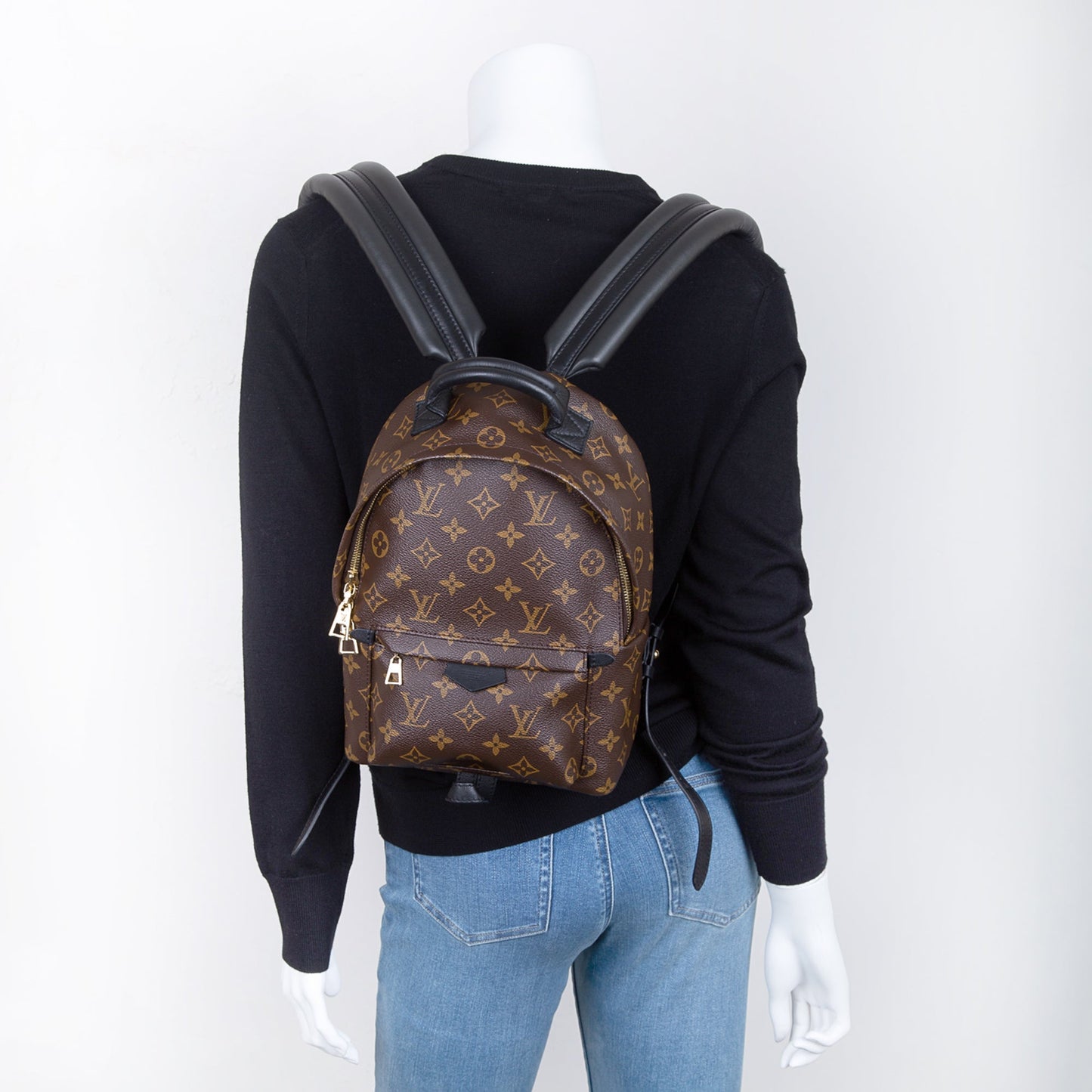 Louis Vuitton Monogram Palm Springs Backpack PM