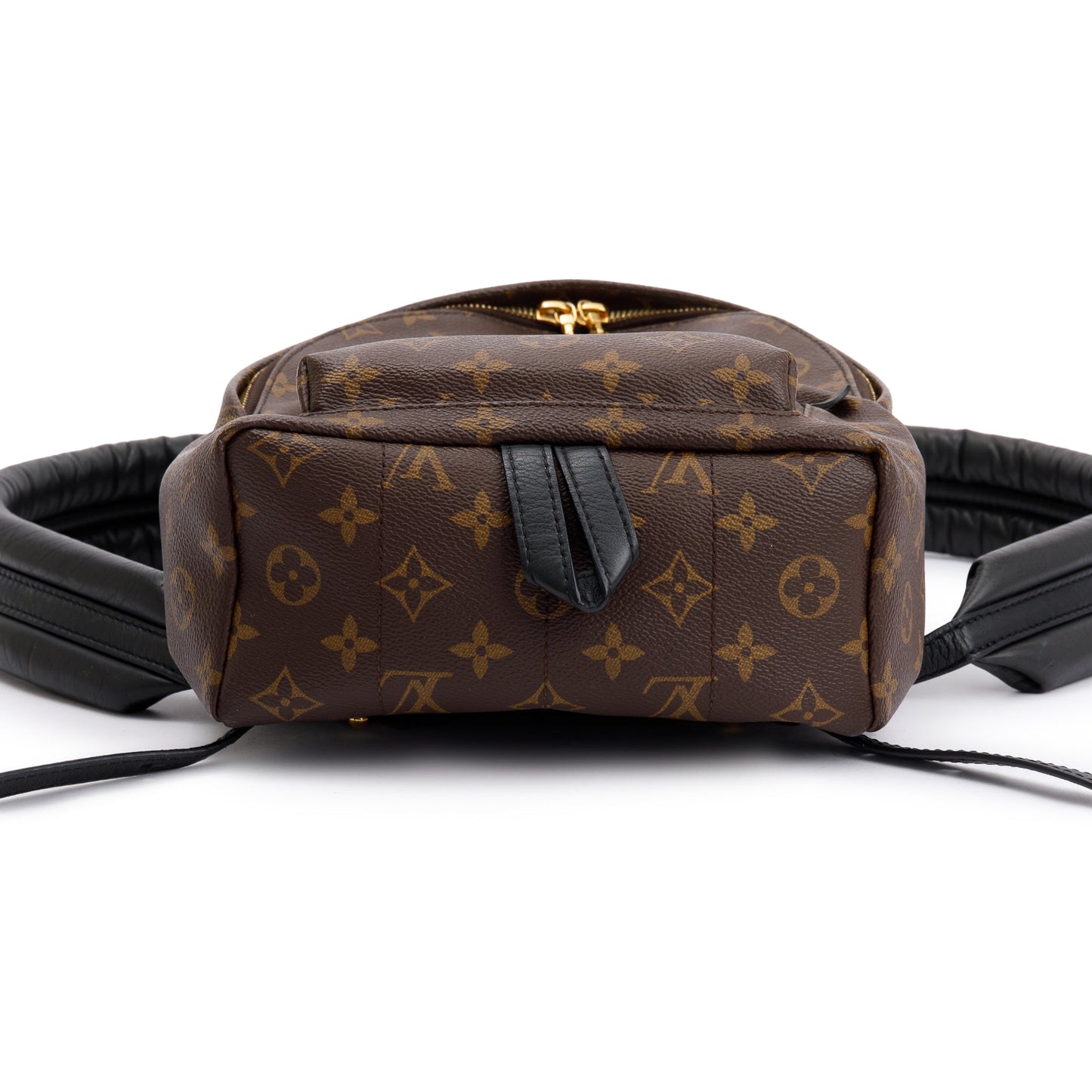 Louis Vuitton Monogram Palm Springs Backpack PM
