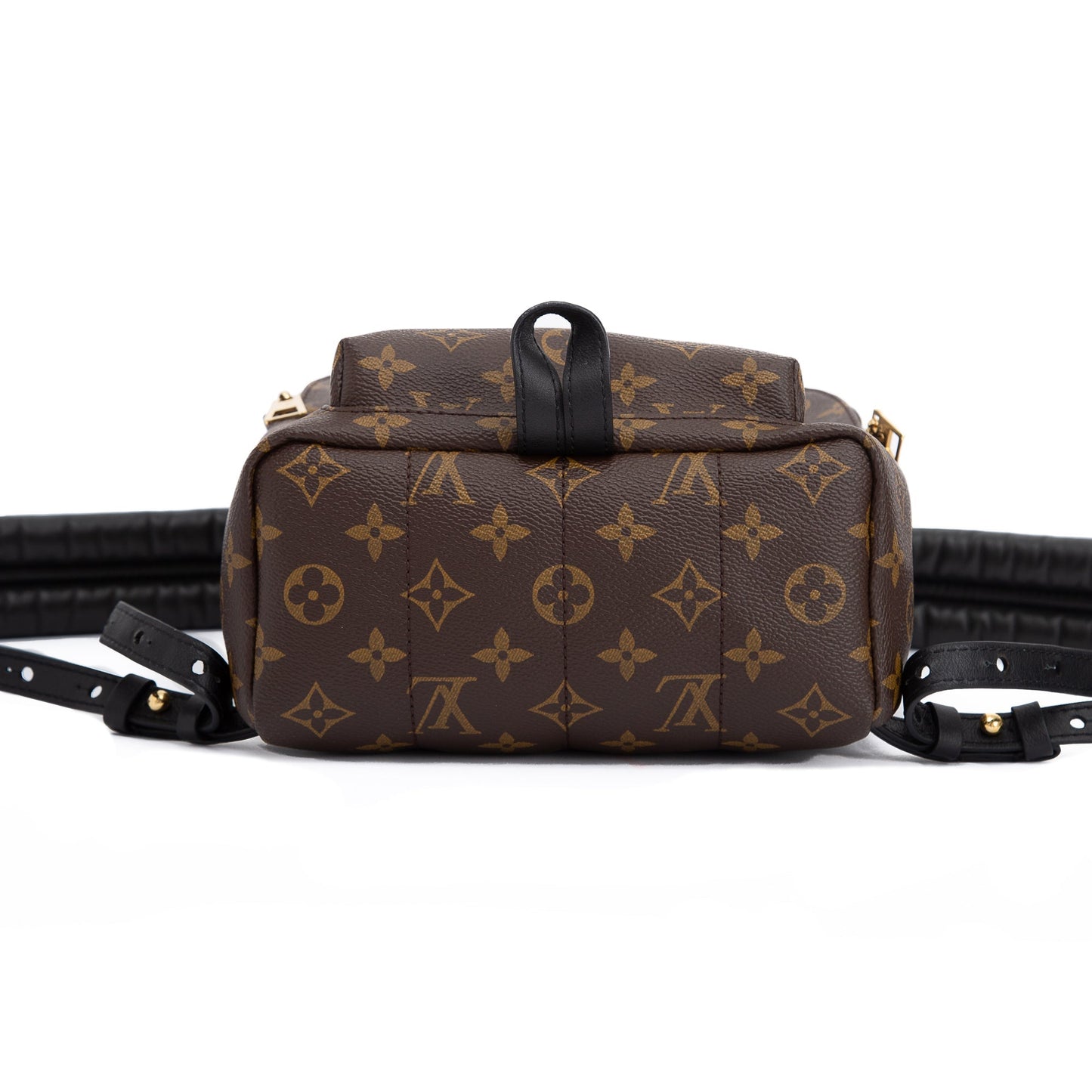 Louis Vuitton Monogram Palm Springs Backpack PM