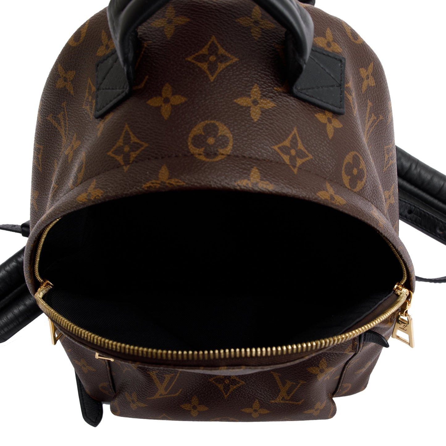 Louis Vuitton Monogram Palm Springs Backpack PM