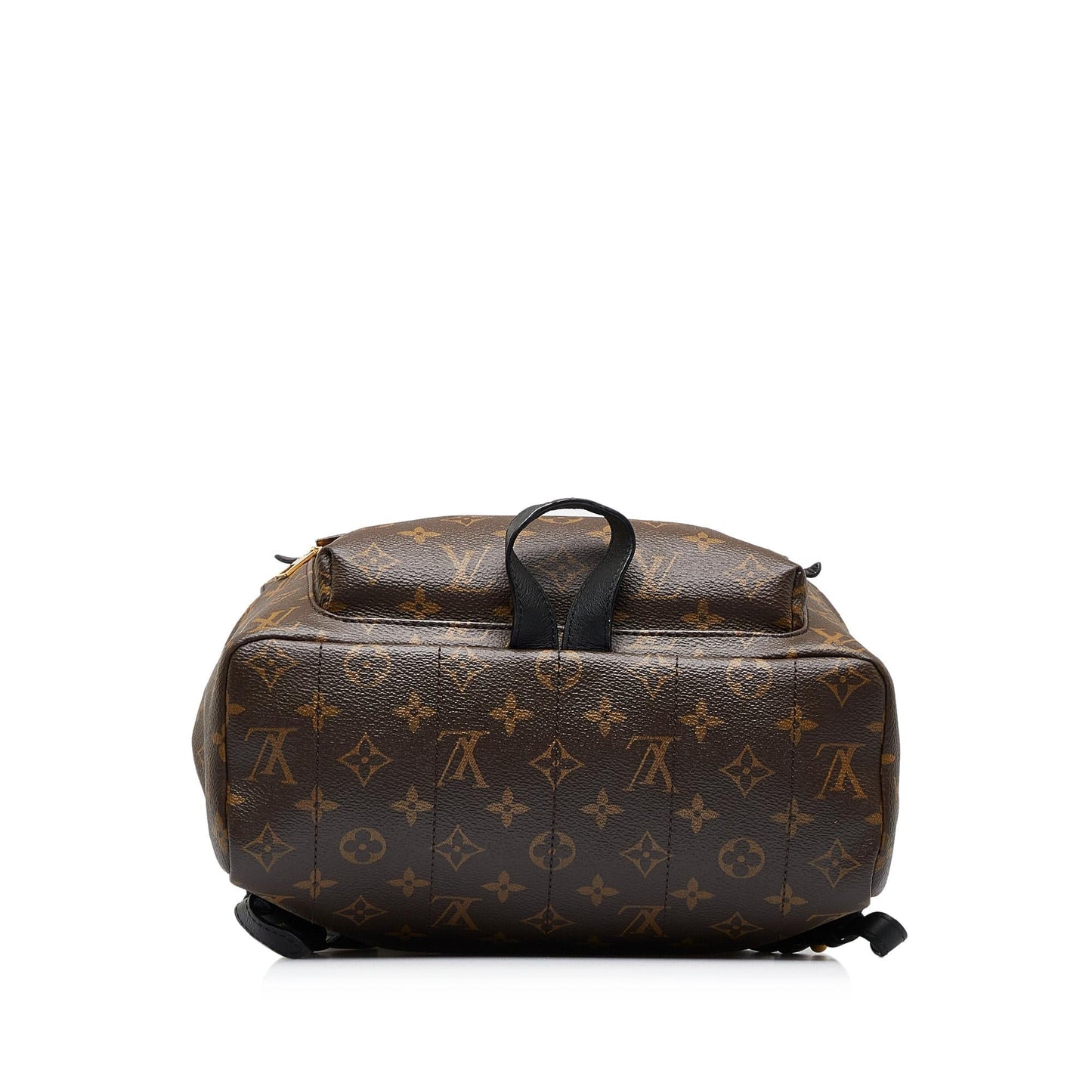 Louis Vuitton Monogram Palm Springs MM (SHG-EEtM0b)