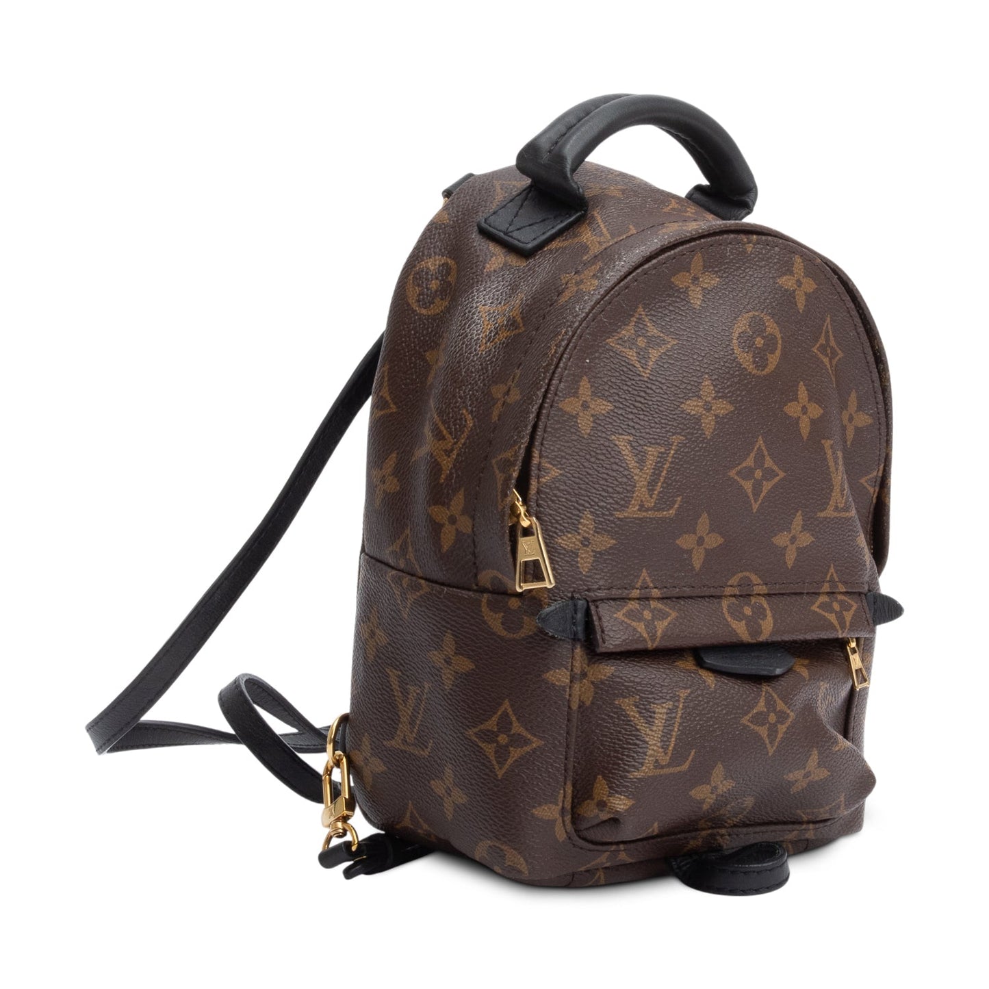 Louis Vuitton Monogram Palm Springs Mini Backpack