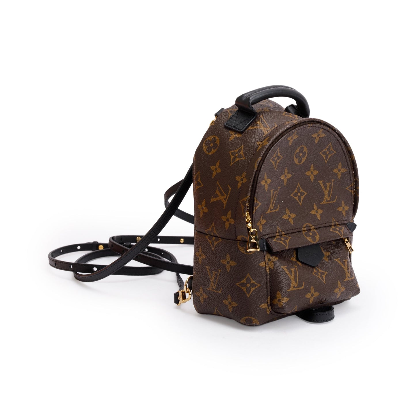 Louis Vuitton Monogram Palm Springs Mini Backpack
