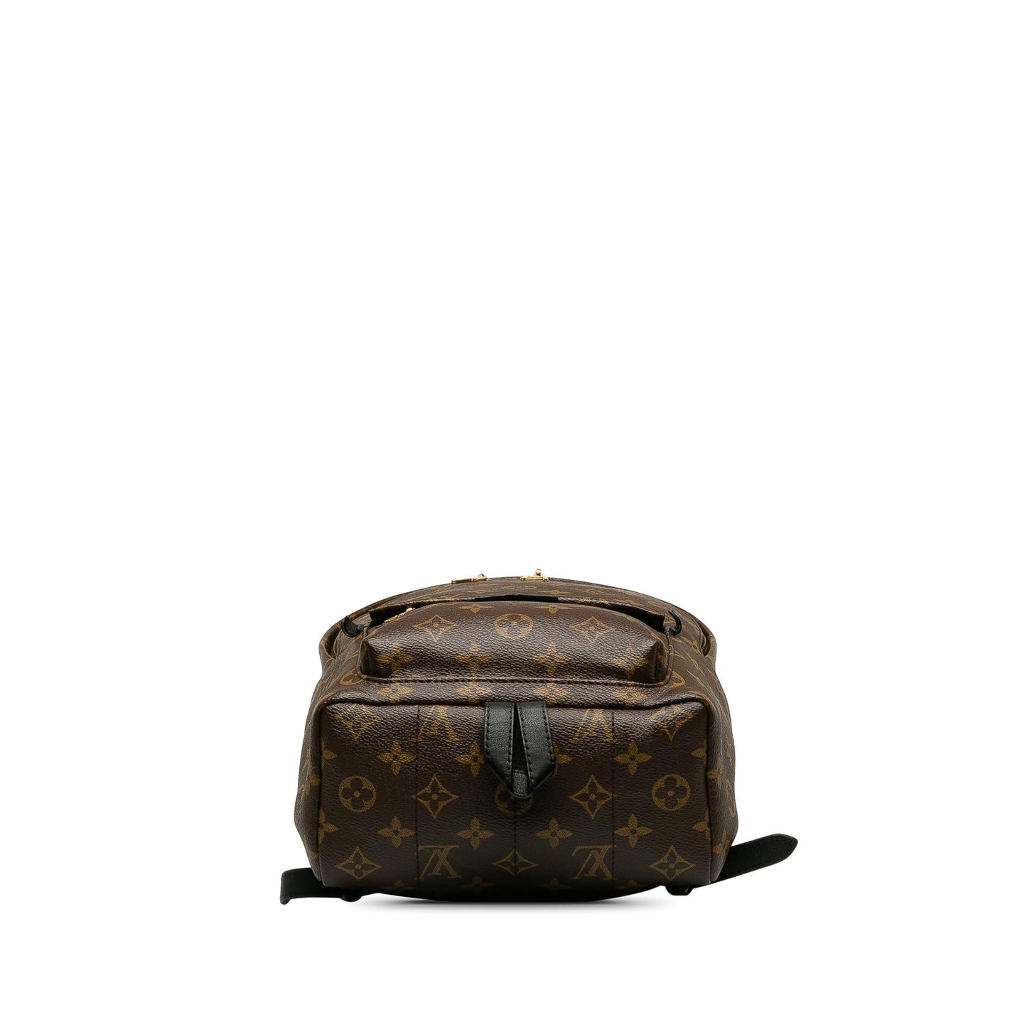 Louis Vuitton Monogram Palm Springs PM (SHG-Ogwvrd)