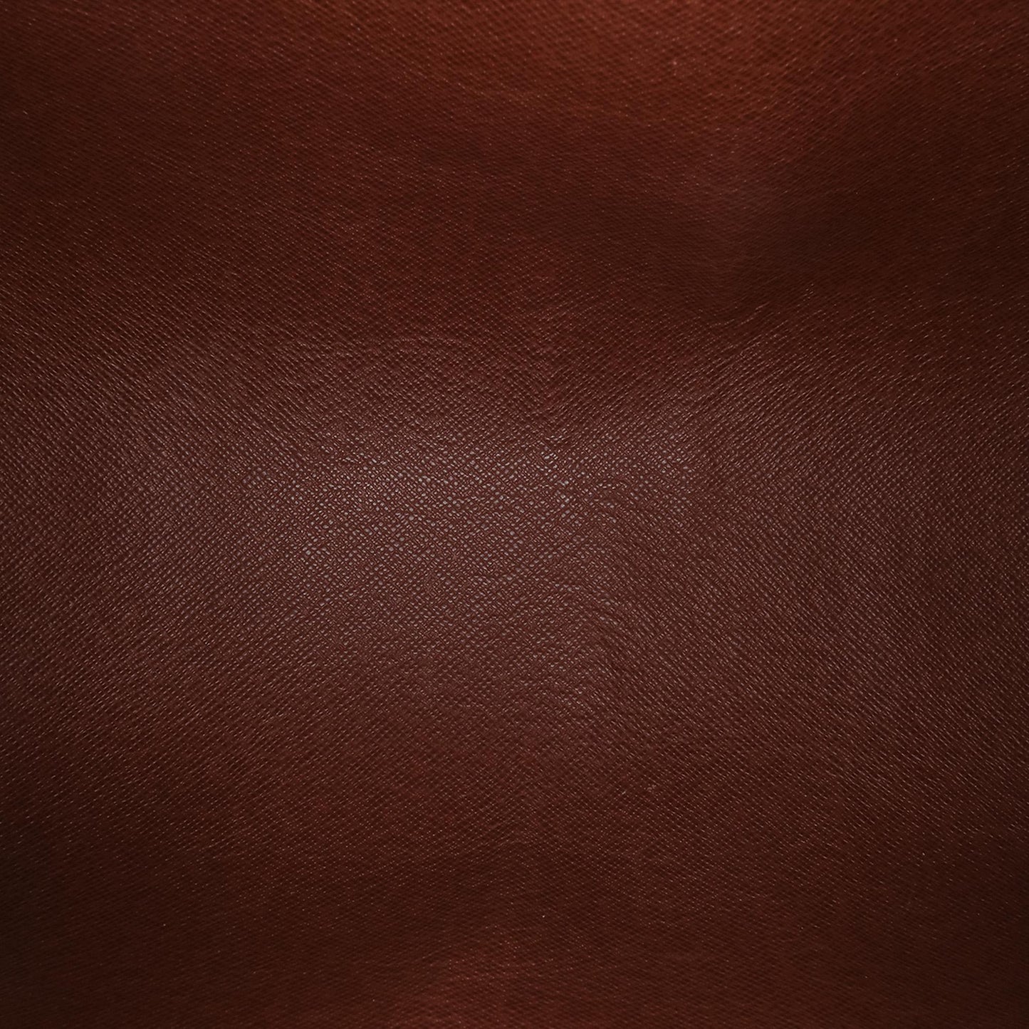 Louis Vuitton Monogram Papillon 28