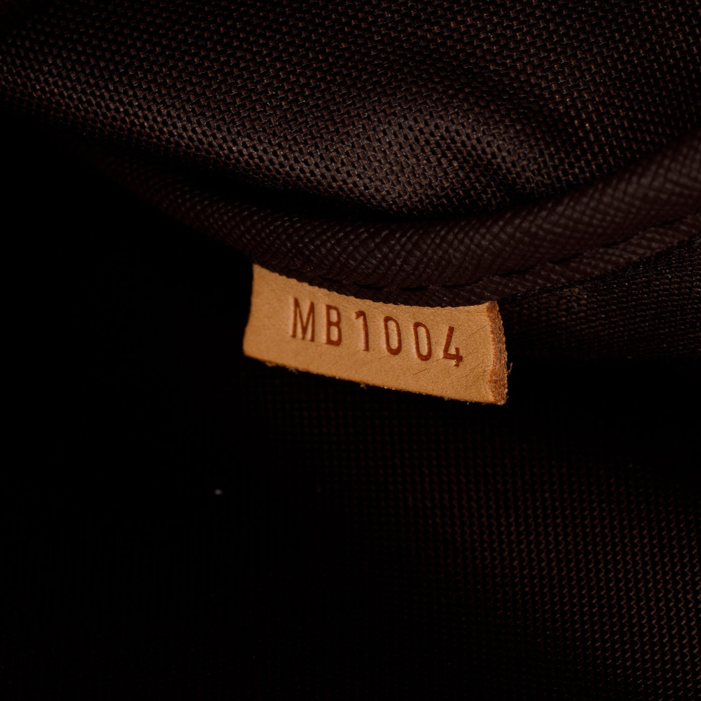 Louis Vuitton Monogram Pegase 45