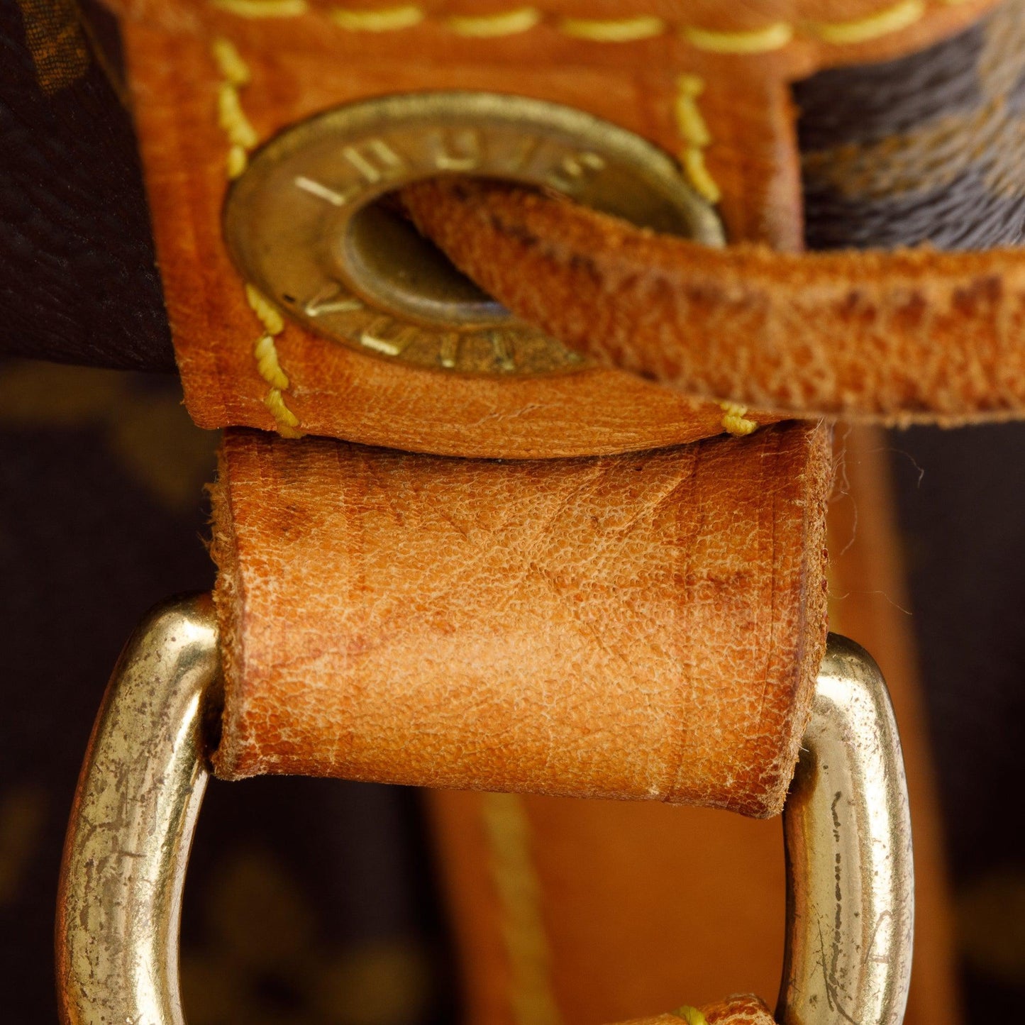 Louis Vuitton Monogram Petit Noe Bag