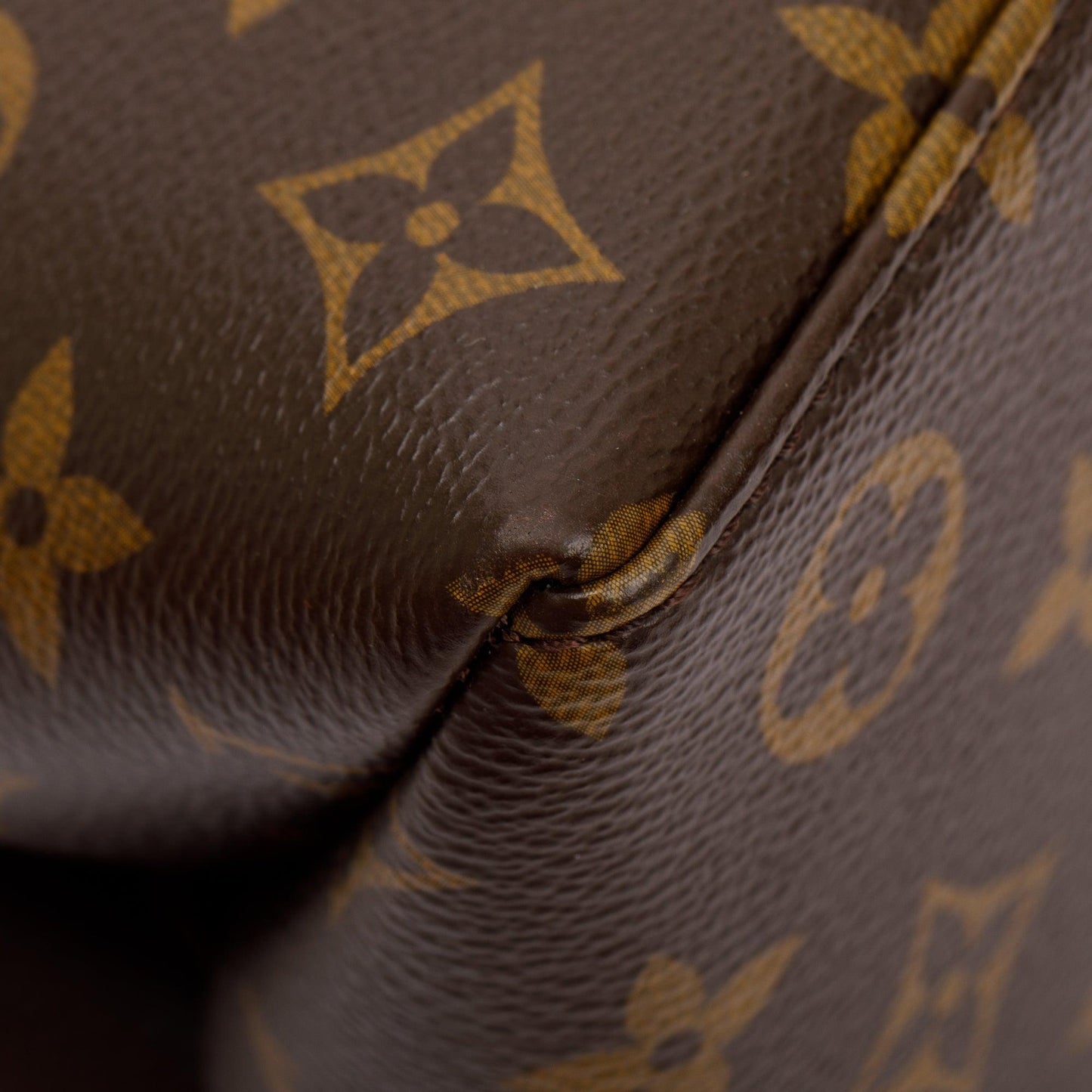 Louis Vuitton Monogram Petit Palais