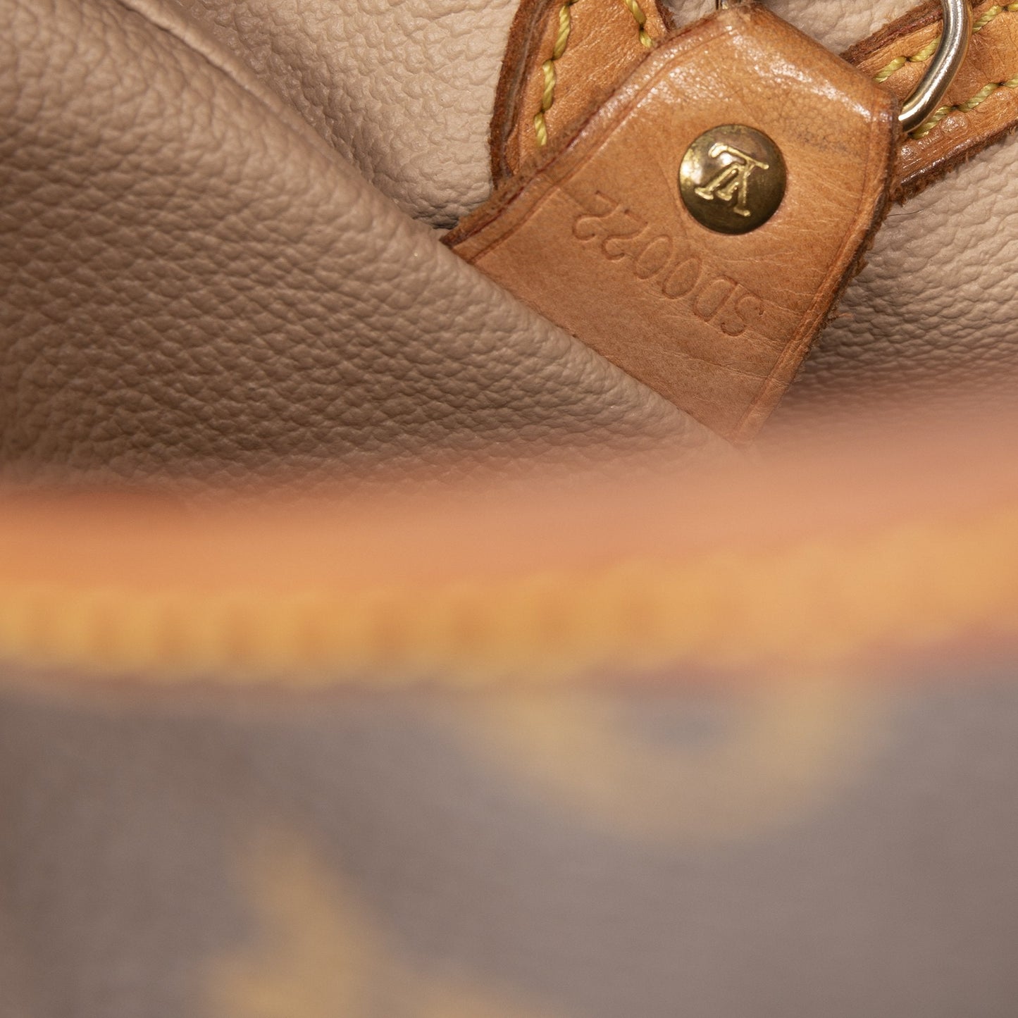 Louis Vuitton Monogram Petite Bucket Bag