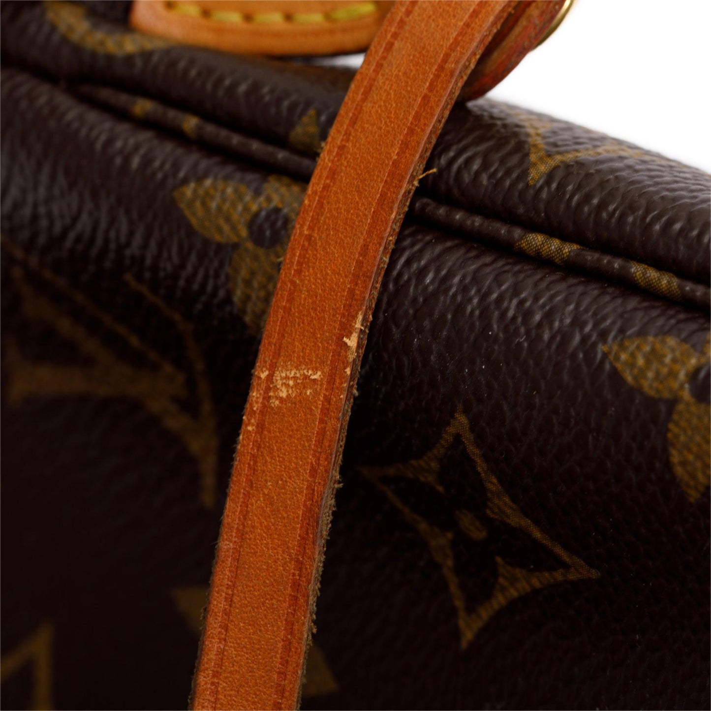Louis Vuitton Monogram Pochette Accessoires