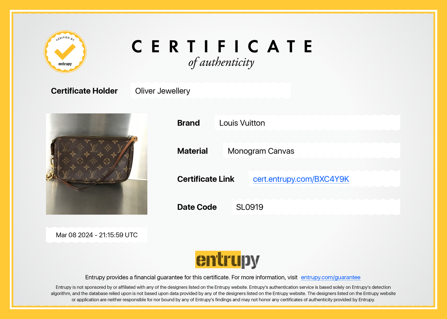 Louis Vuitton Monogram Pochette Accessories
