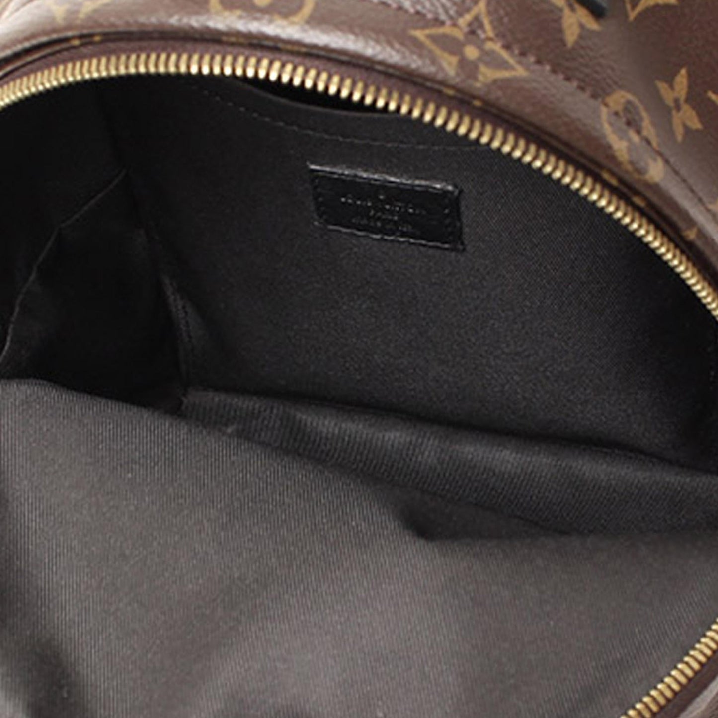 Louis Vuitton Monogram Reverse Palm Springs PM (SHG-6OlUGm)