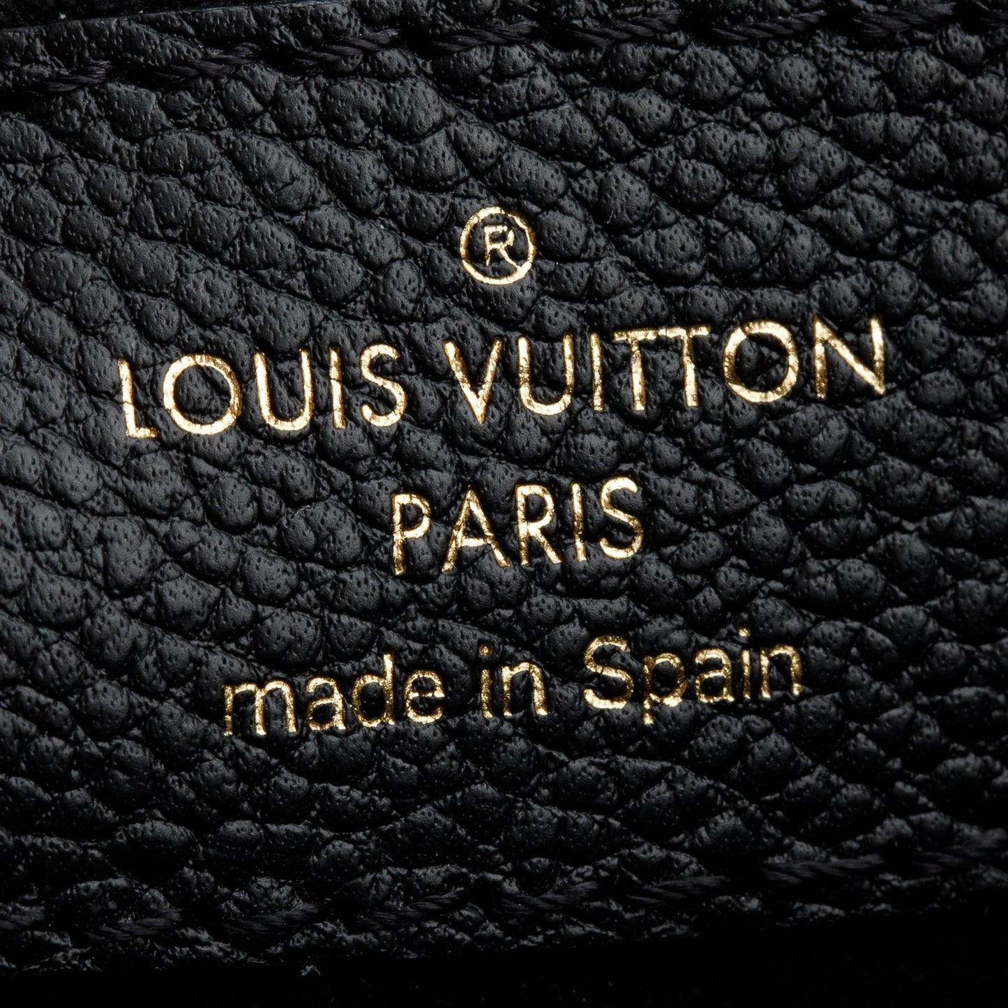 Louis Vuitton Monogram Saint Placide