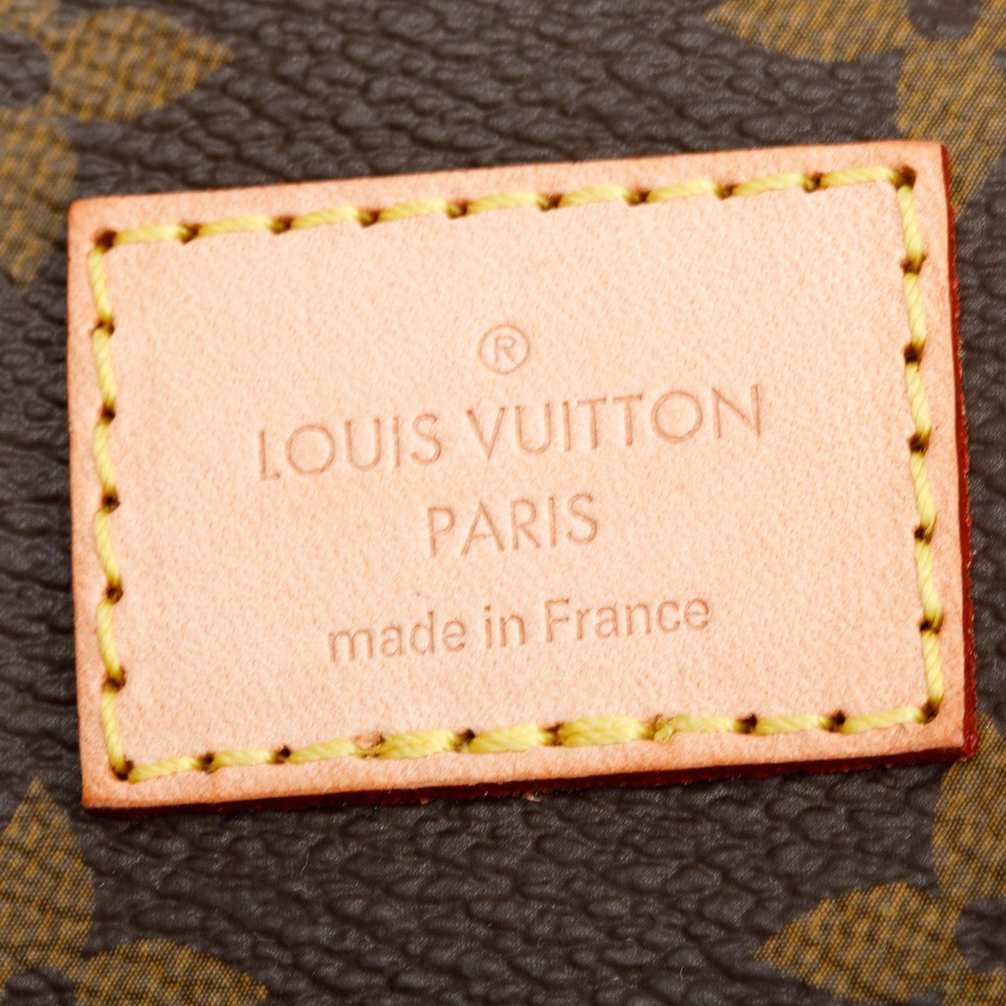Louis Vuitton Monogram Saumur MM Crossbody Bag