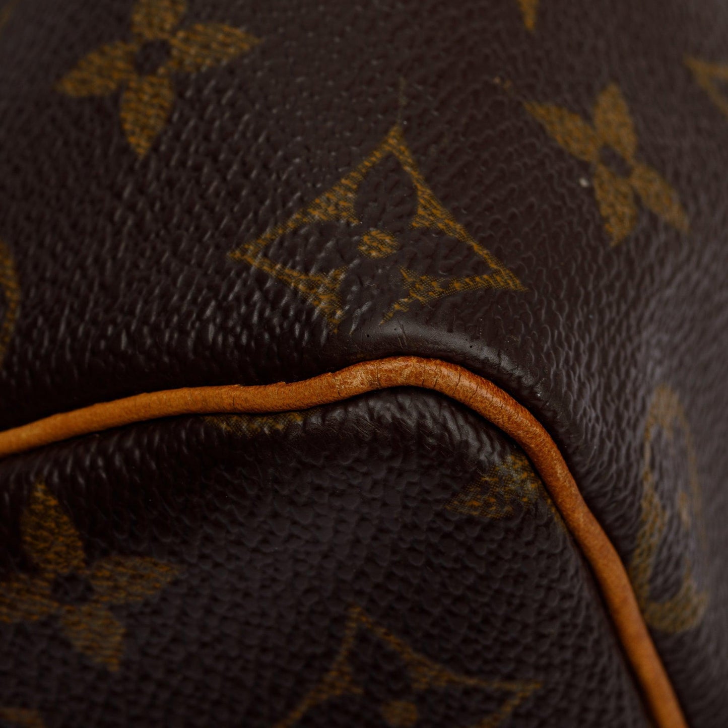 Louis Vuitton Monogram Speedy 25