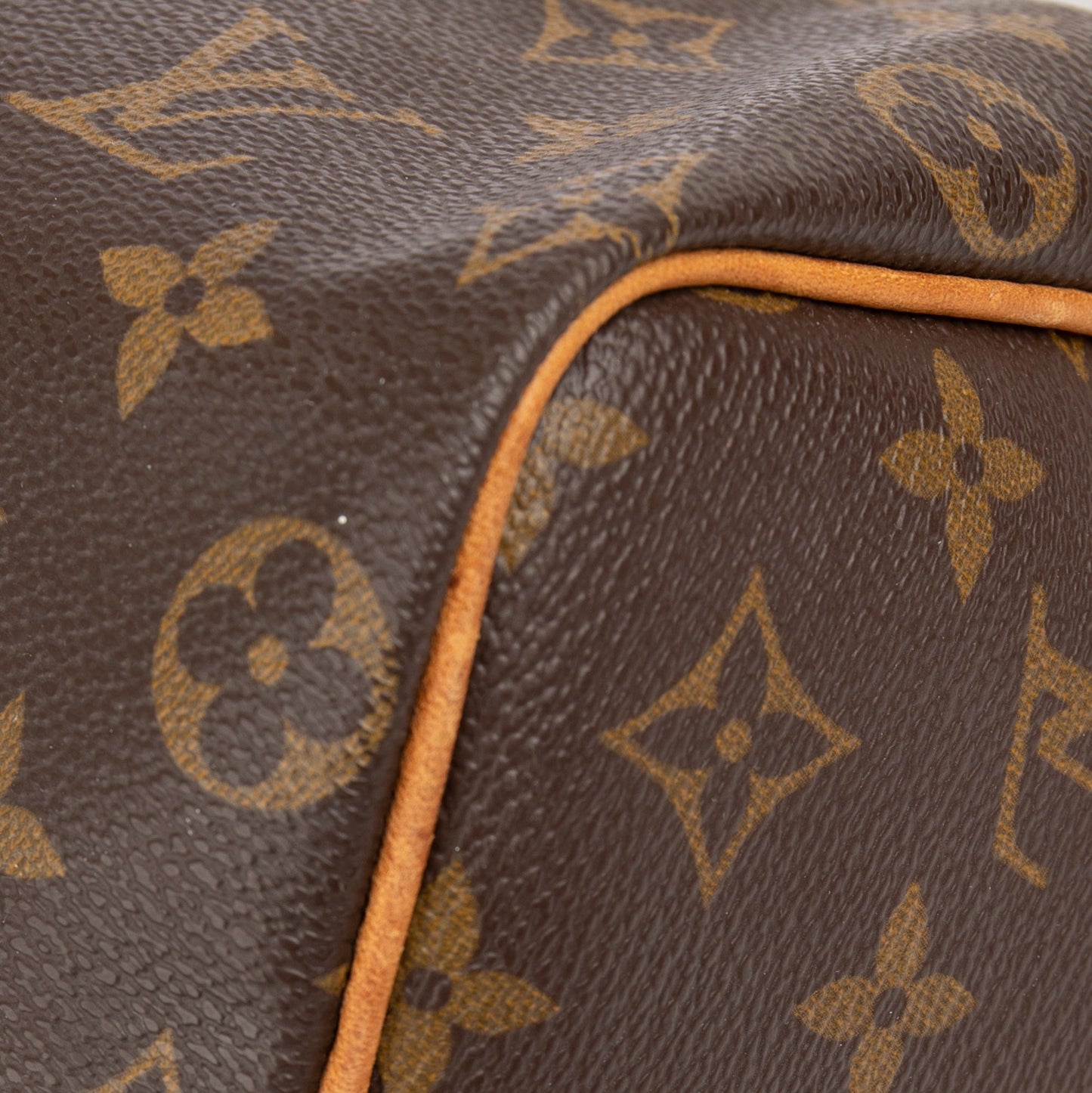 Louis Vuitton Monogram Speedy 25