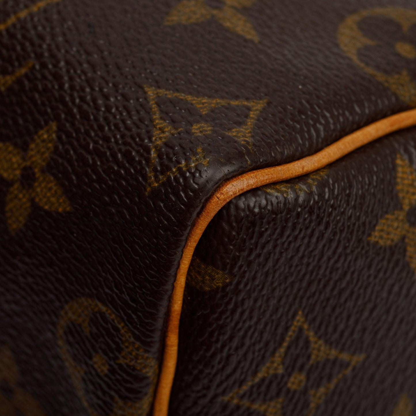 Louis Vuitton Monogram Speedy 25