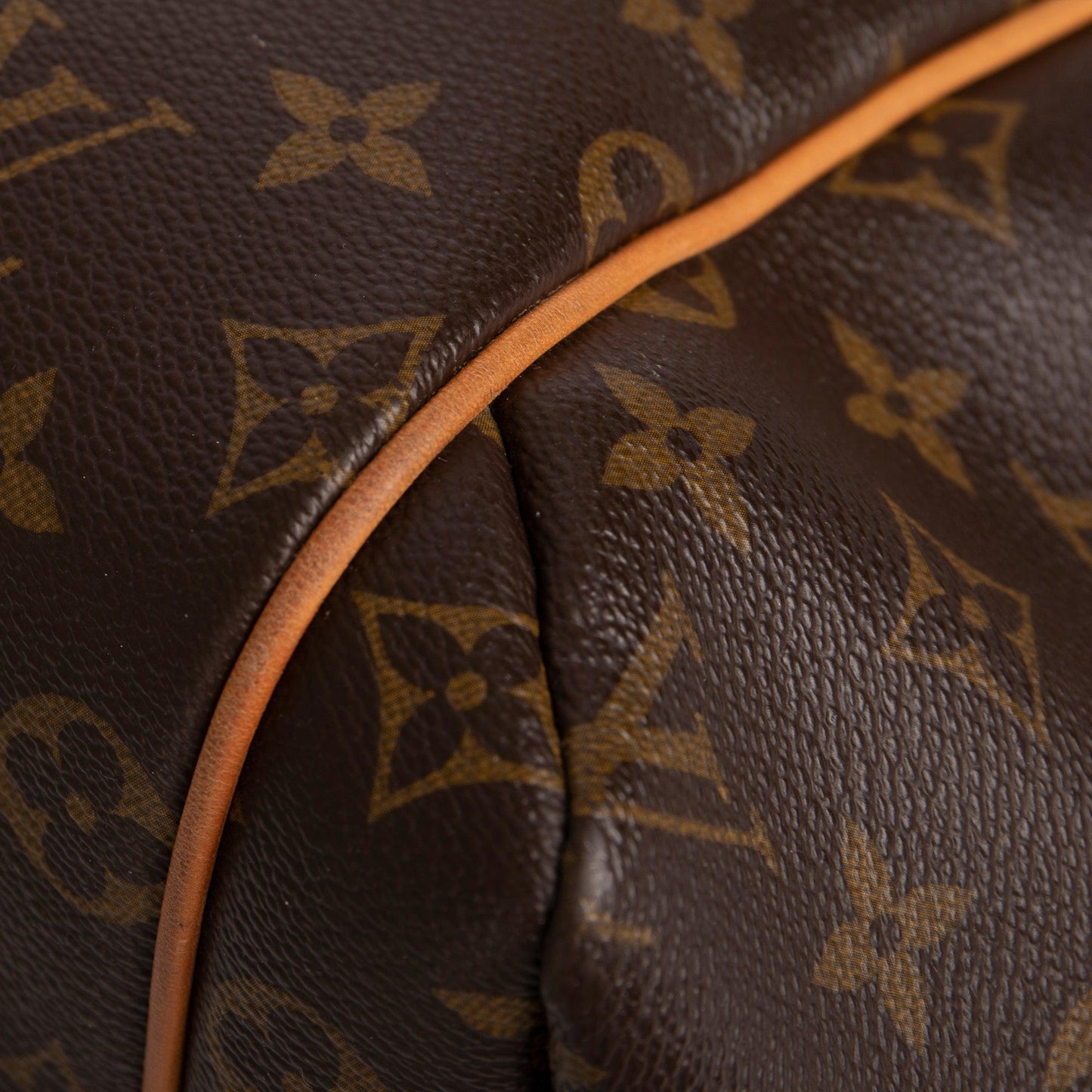 Louis Vuitton Monogram Totally MM