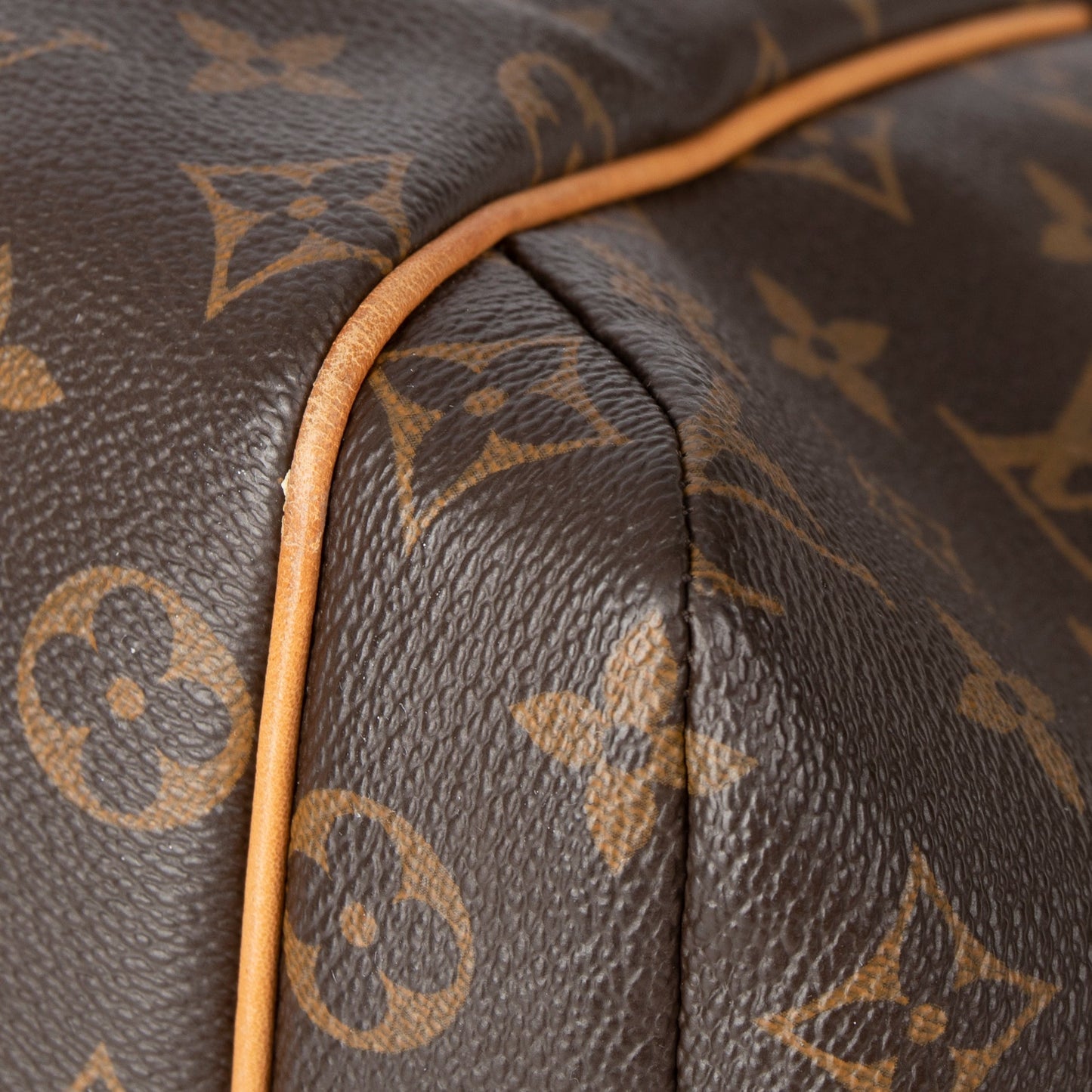 Louis Vuitton Monogram Totally MM