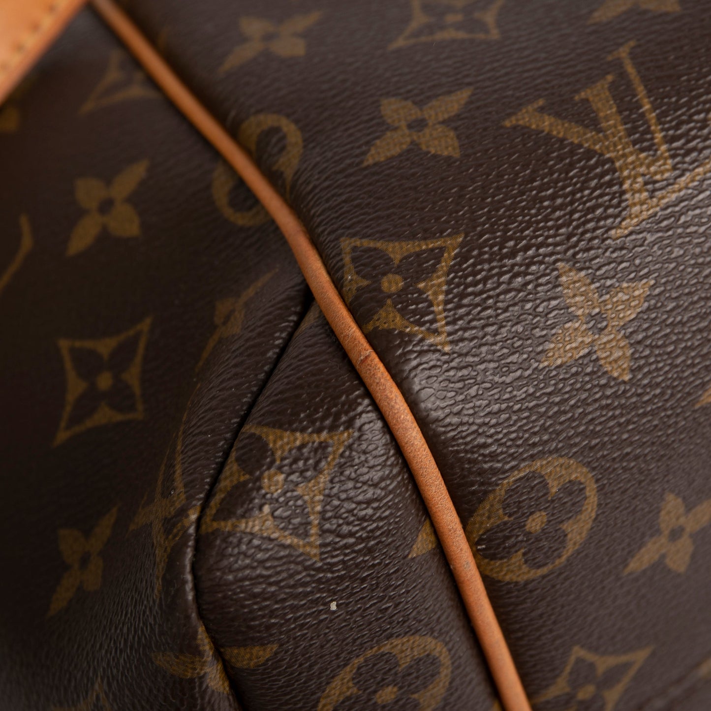 Louis Vuitton Monogram Totally MM