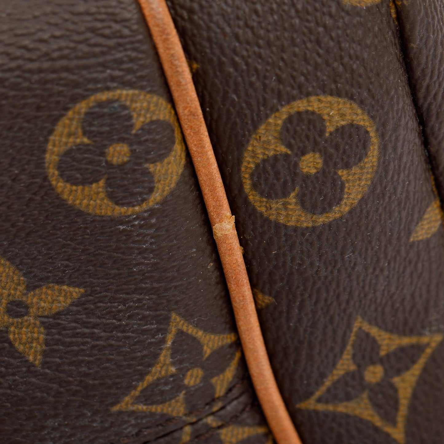 Louis Vuitton Monogram Totally MM