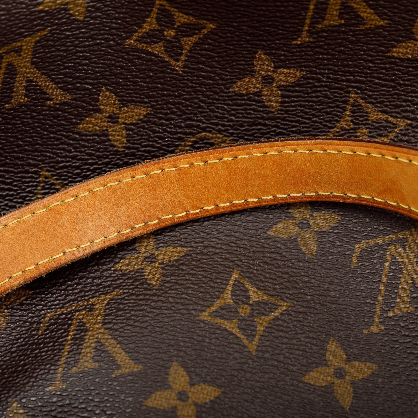 Louis Vuitton Monogram Totally PM