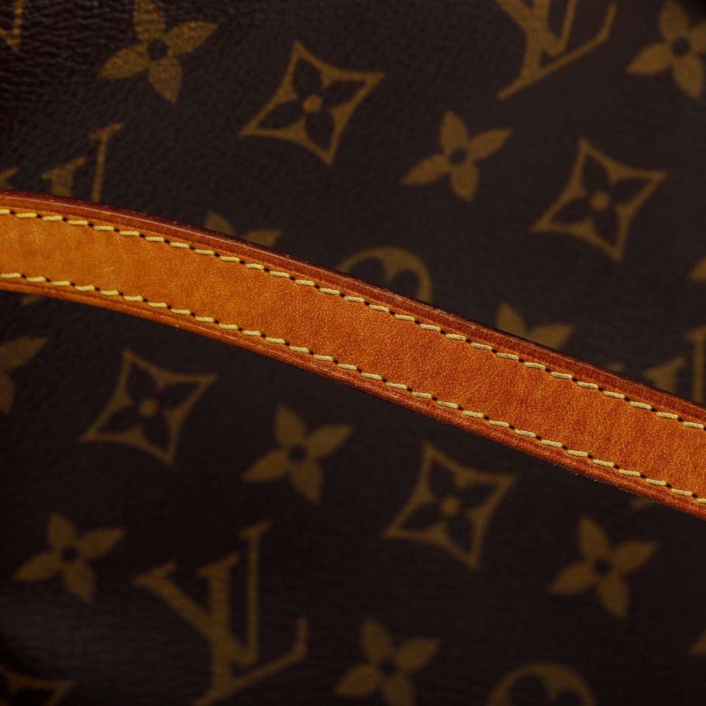 Louis Vuitton Monogram Totally PM