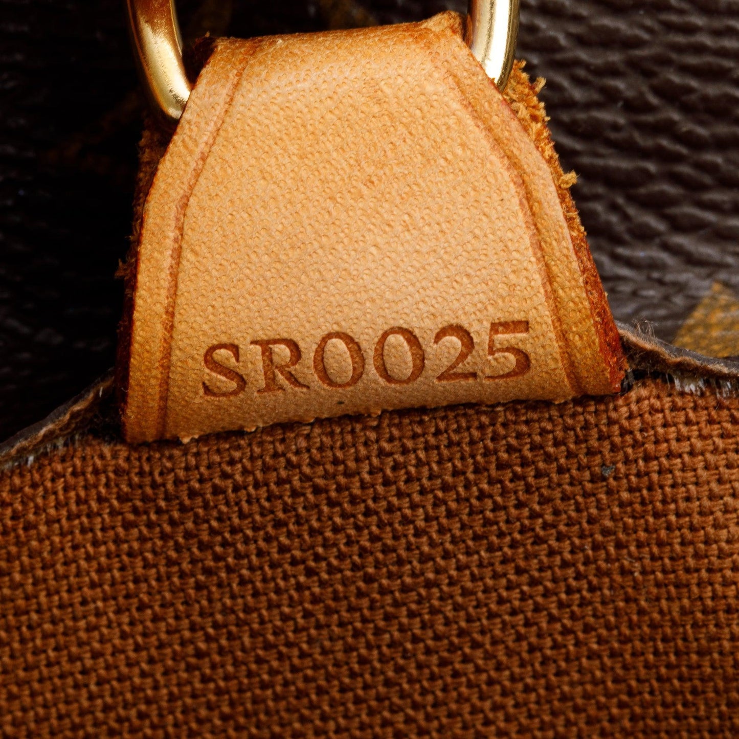 Louis Vuitton Monogram Vavin GM Tote