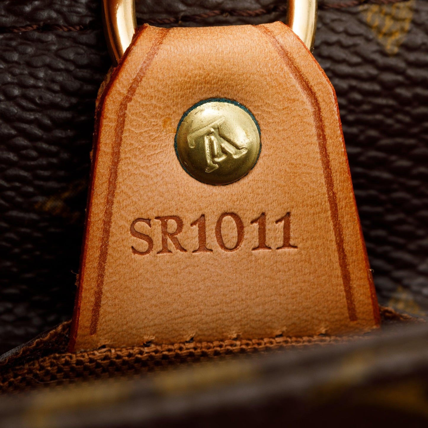 Louis Vuitton Monogram Vavin GM Tote