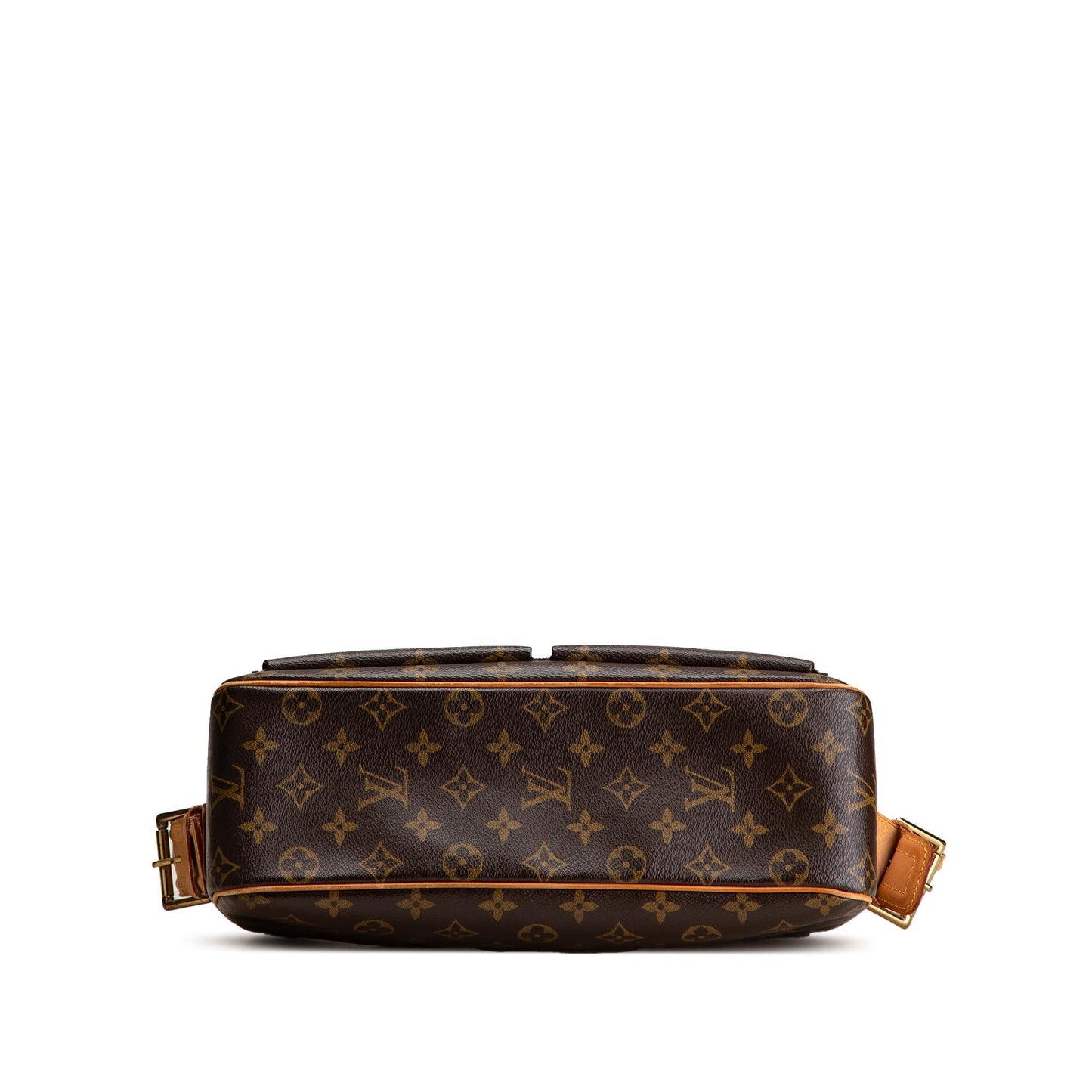 Louis Vuitton Monogram Viva Cite GM