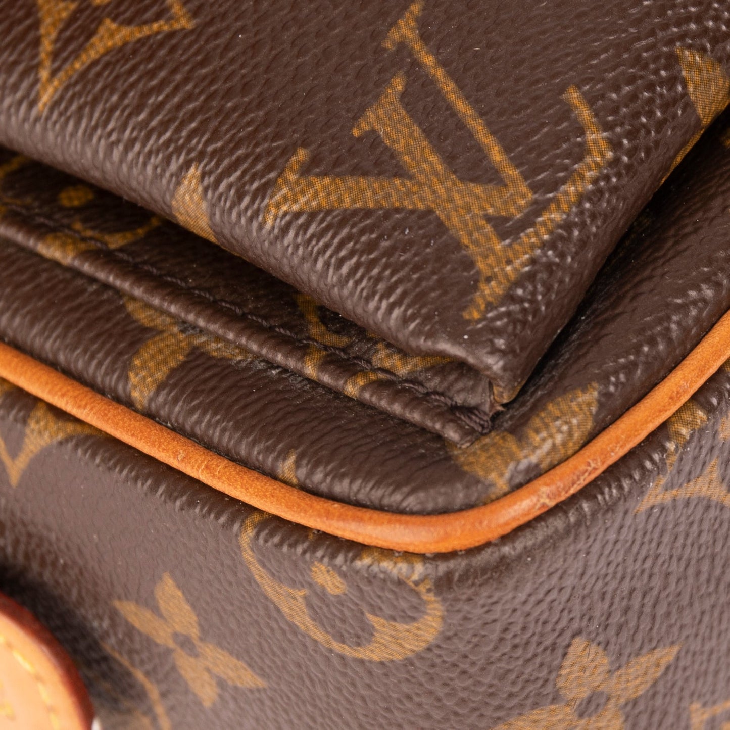 Louis Vuitton Monogram Viva Cite MM