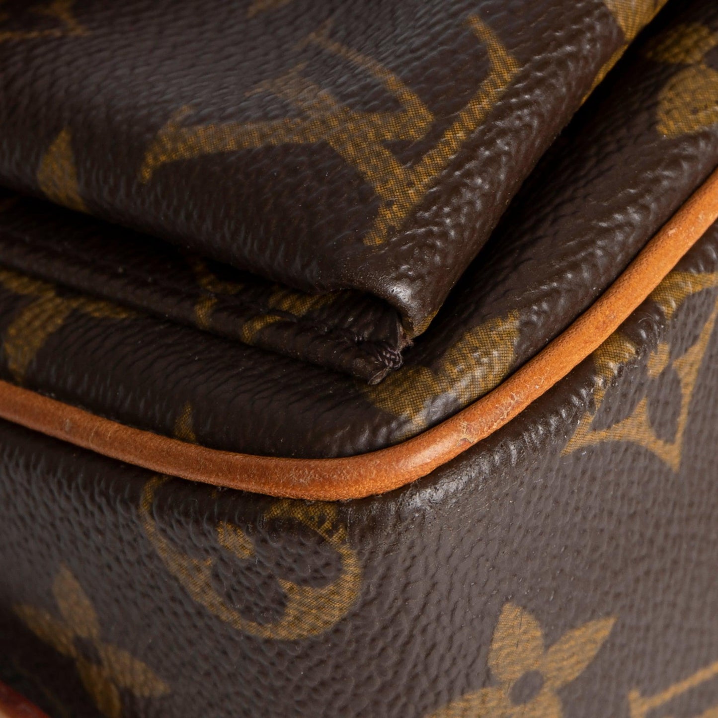 Louis Vuitton Monogram Viva Cite MM