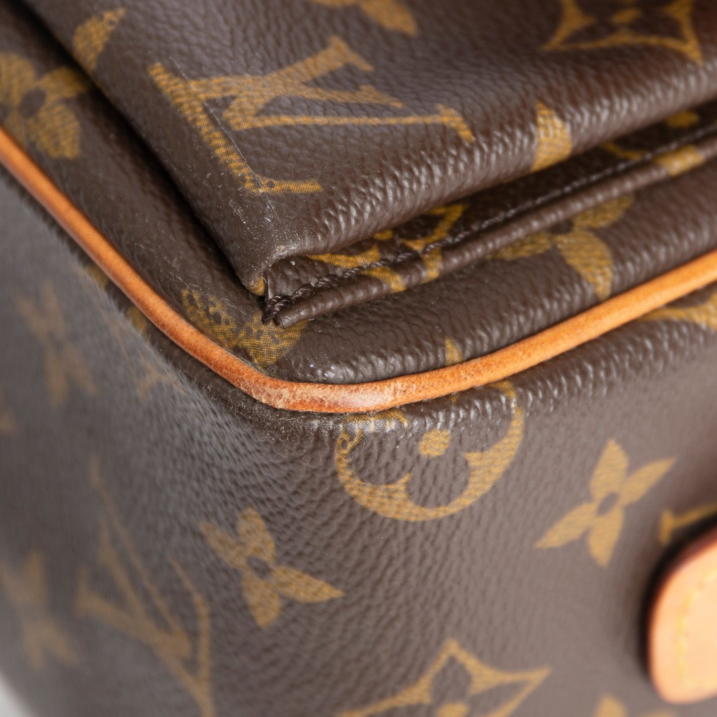 Louis Vuitton Monogram Viva Cite MM