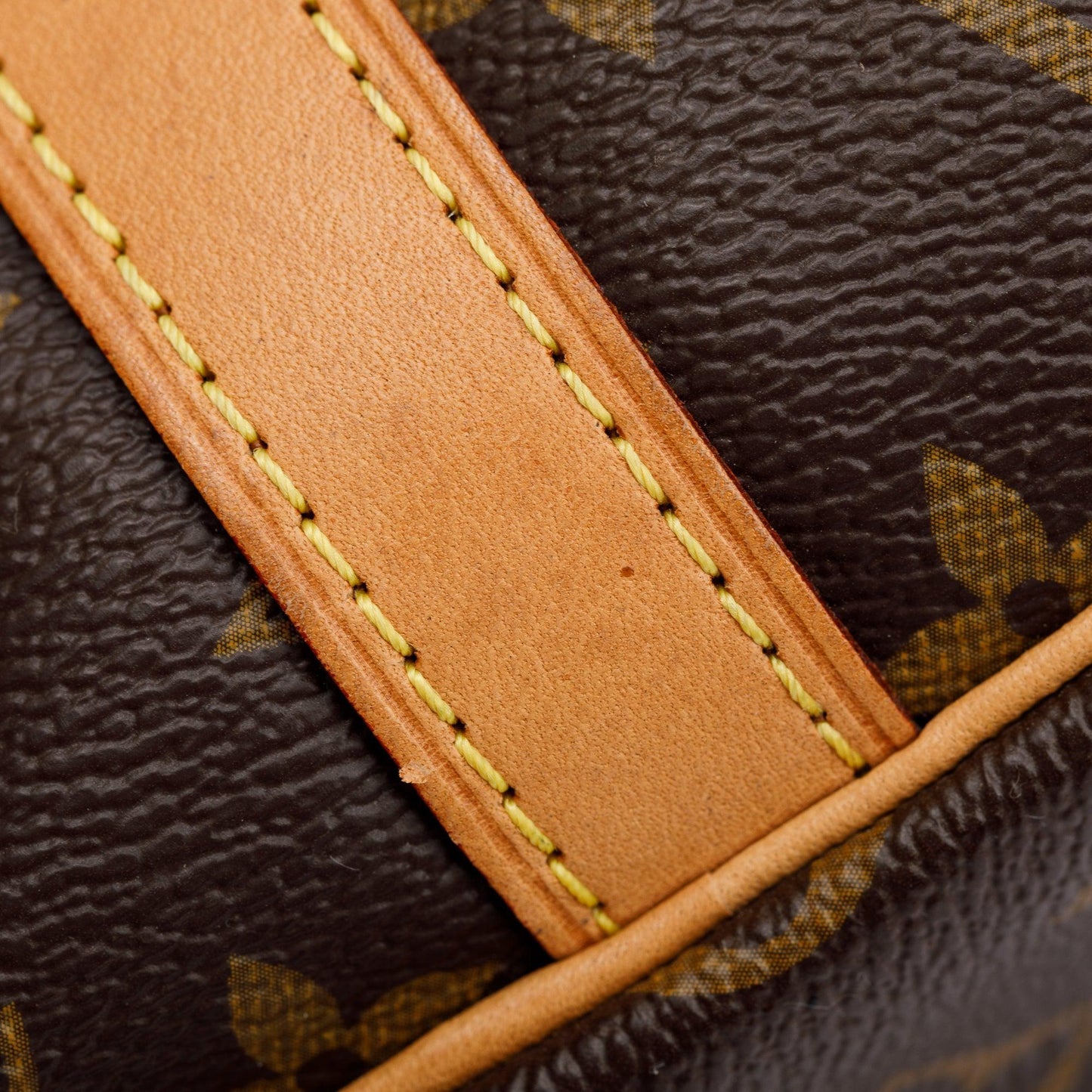 Louis Vuitton Monogram World Tour Speedy Bandouliere 30