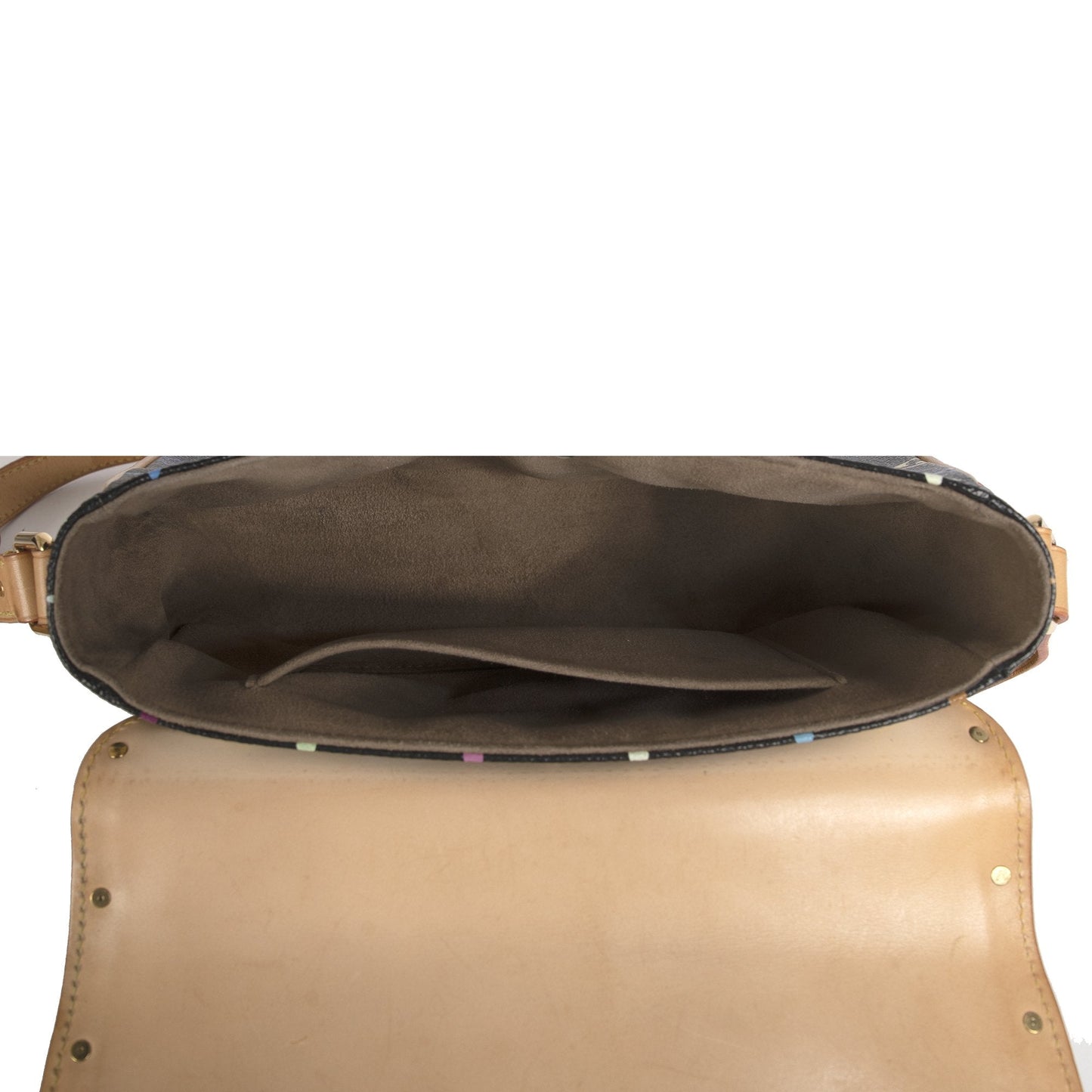 Louis Vuitton Multicolor Monogram Sologne Bag