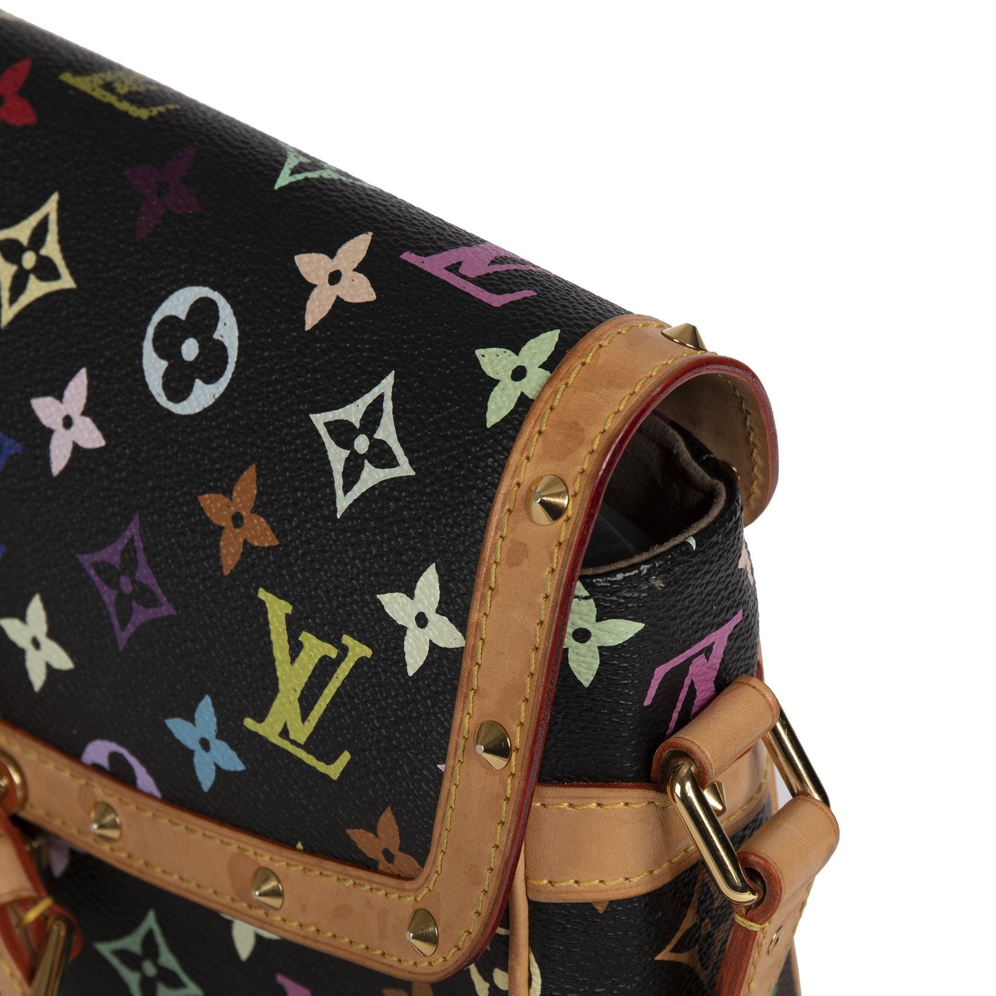 Louis Vuitton Multicolor Monogram Sologne Bag