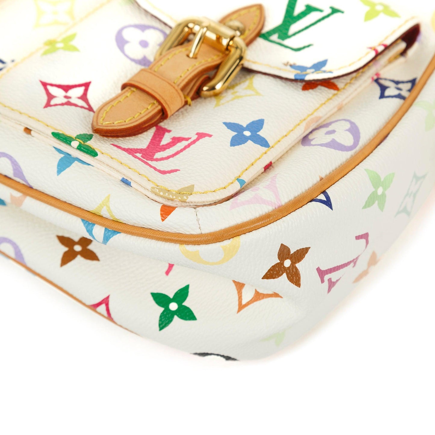 Louis Vuitton Multicolore Lodge PM