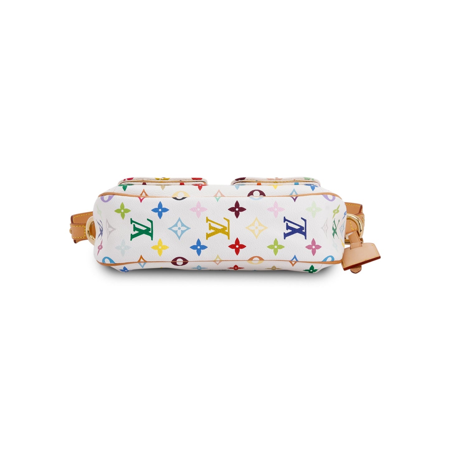 Louis Vuitton Multicolore Lodge PM