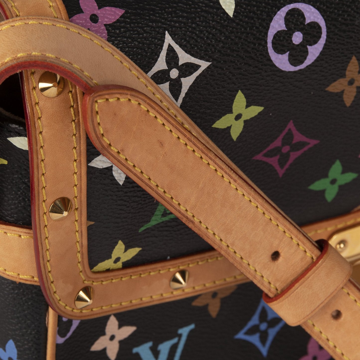 Louis Vuitton Multicolore Monogram Sologne Bag