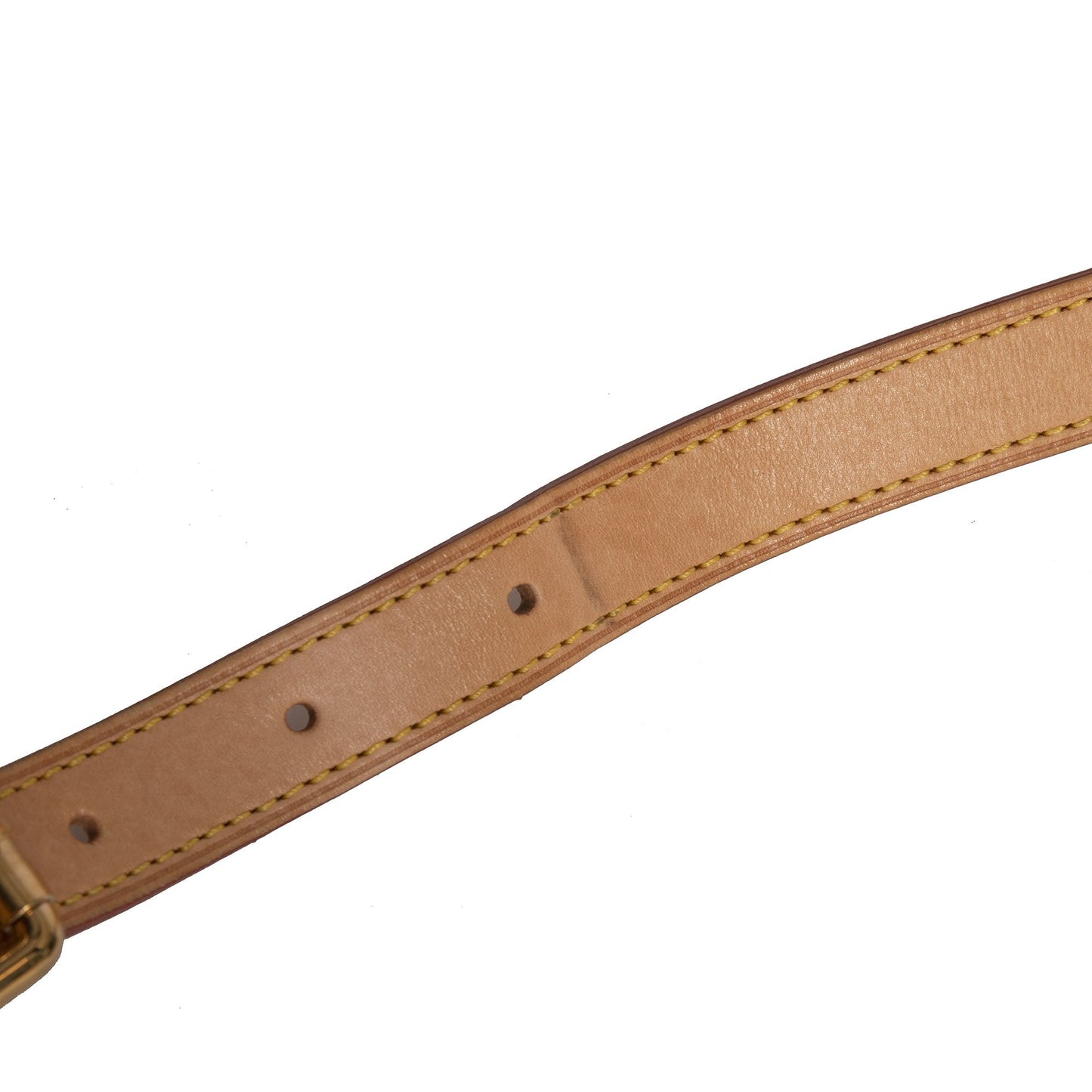 Louis Vuitton Multicolore Monogram Sologne Bag
