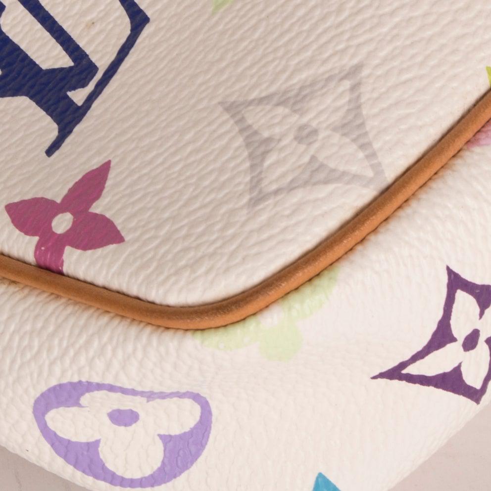 Louis Vuitton Multicolore Pochette Accessories