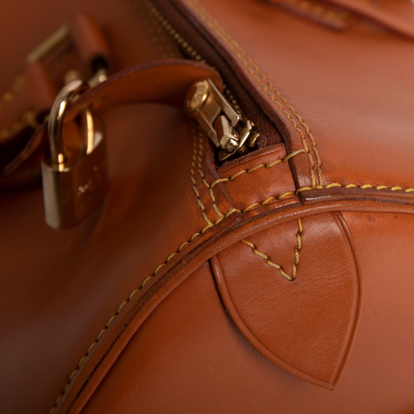 Louis Vuitton Nomade Speedy 30