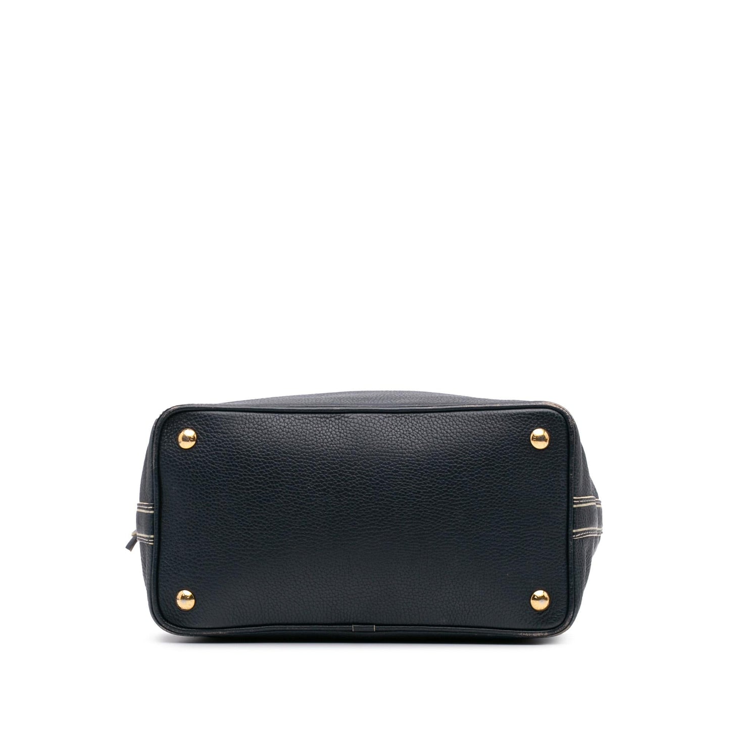 Louis Vuitton Tobago Trunks and Bags Shoe Bag