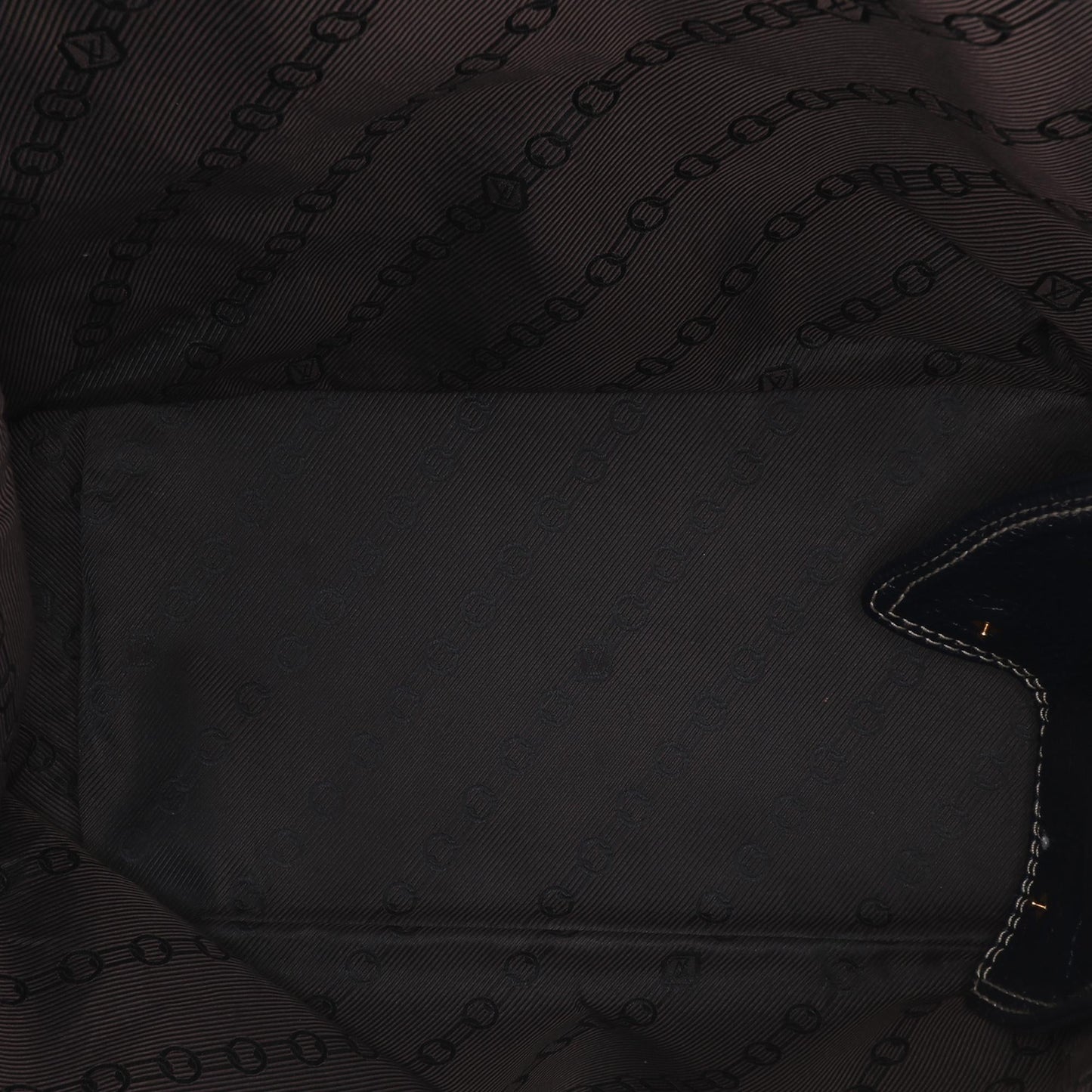 Louis Vuitton Tobago Trunks and Bags Shoe Bag