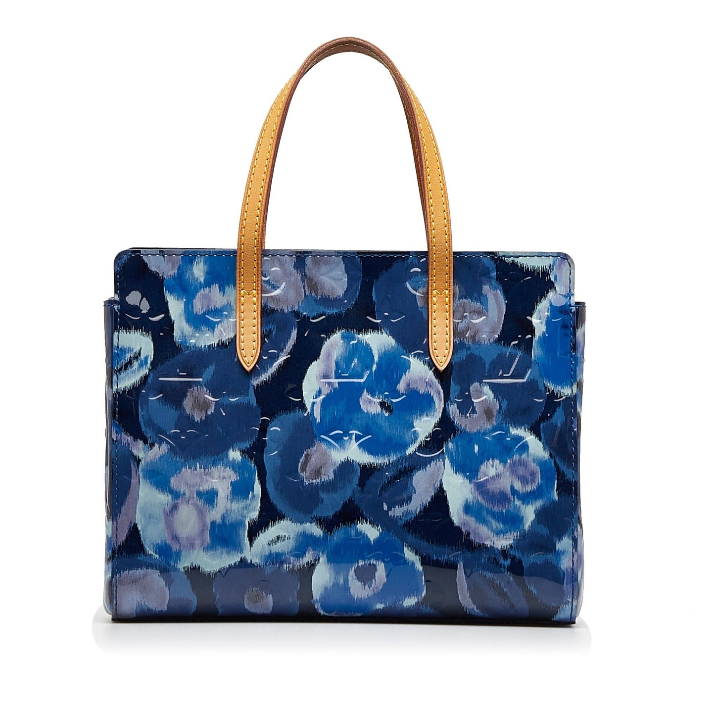 Louis Vuitton Vernis Catalina Ikat BB (SHG-otSHxf)