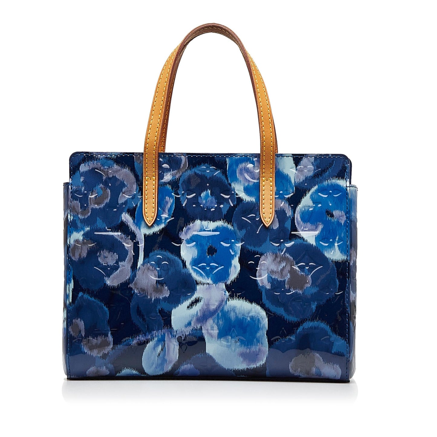 Louis Vuitton Vernis Catalina Ikat BB (SHG-otSHxf)
