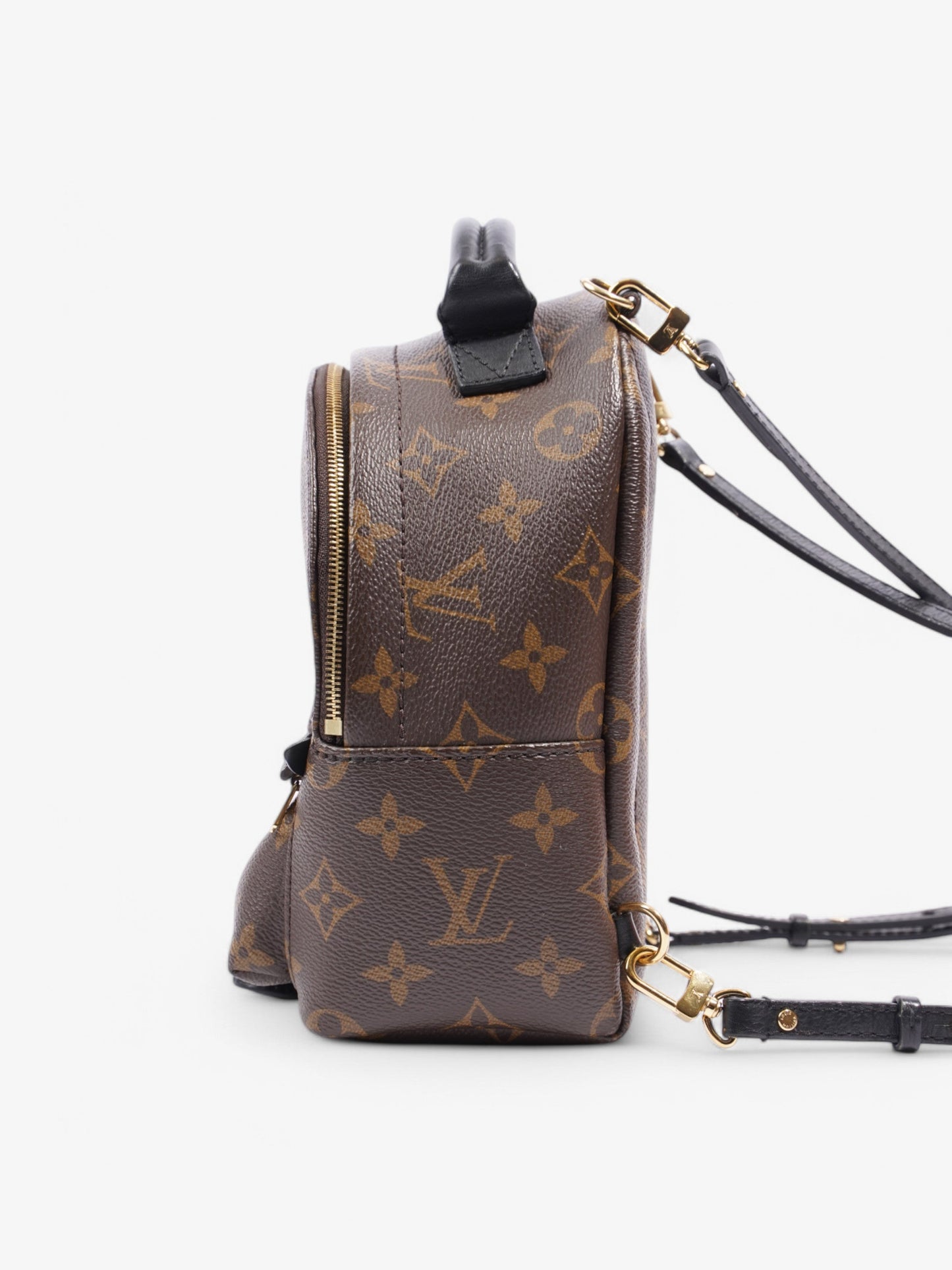Louis Vuitton Mini Palm Springs Monogram Coated Canvas Mini