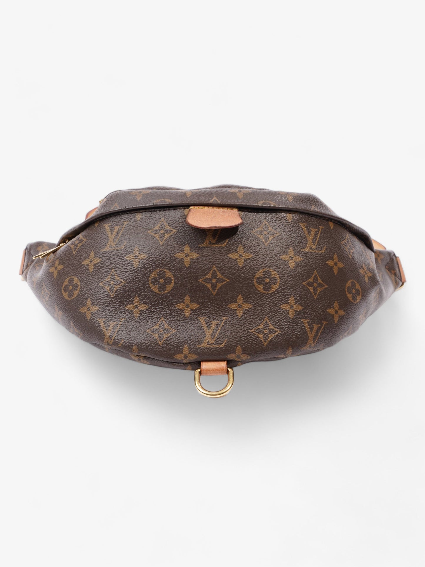 Louis Vuitton Bumbag Monogram Coated Canvas