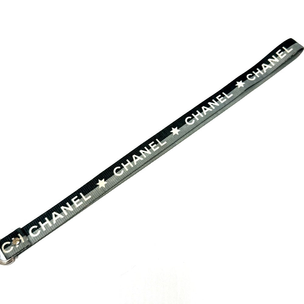 CHANEL strap canvas gray 01P logo neck strap Women