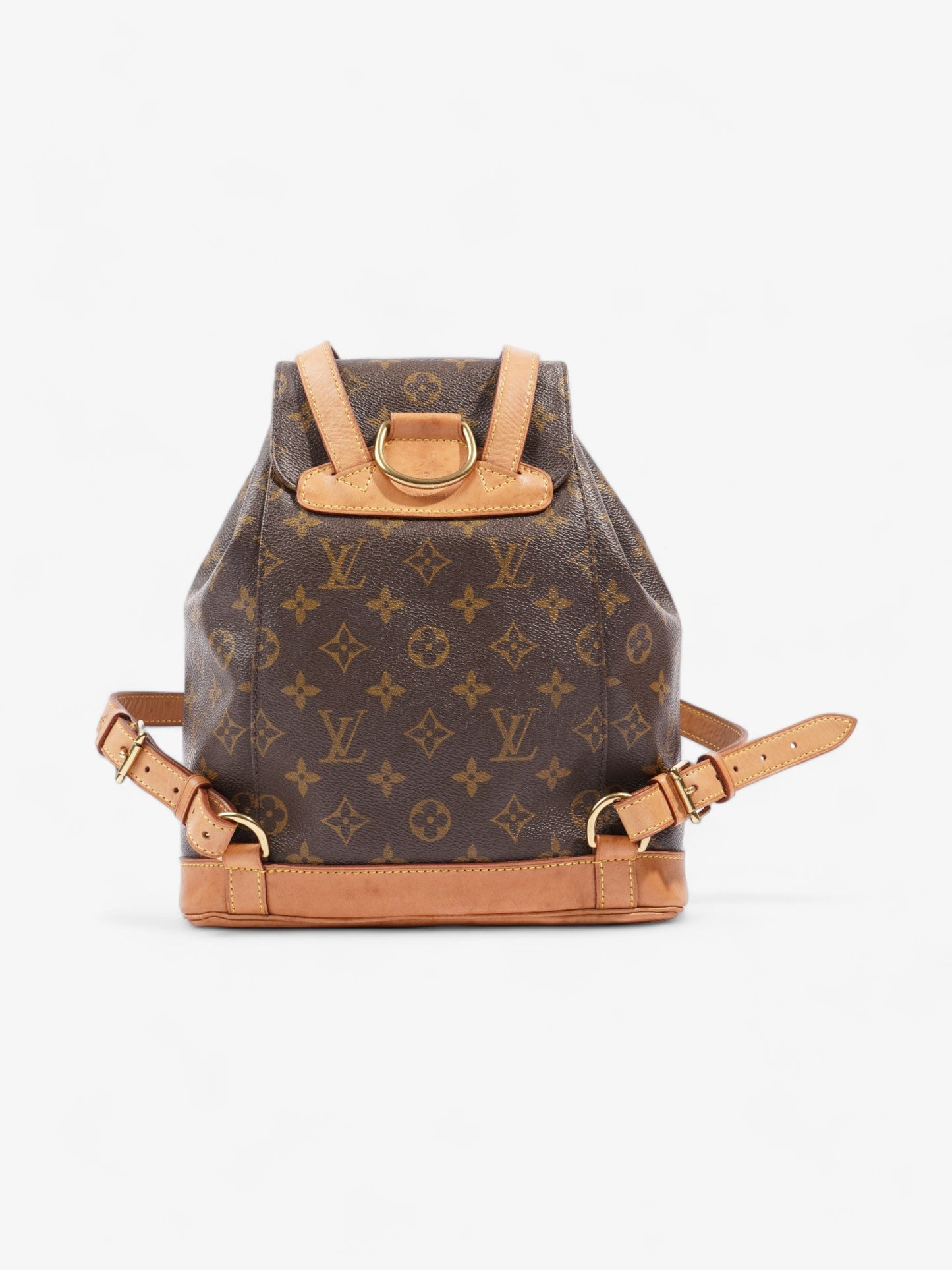 Louis Vuitton Montsouris  Monogram Coated Canvas MM